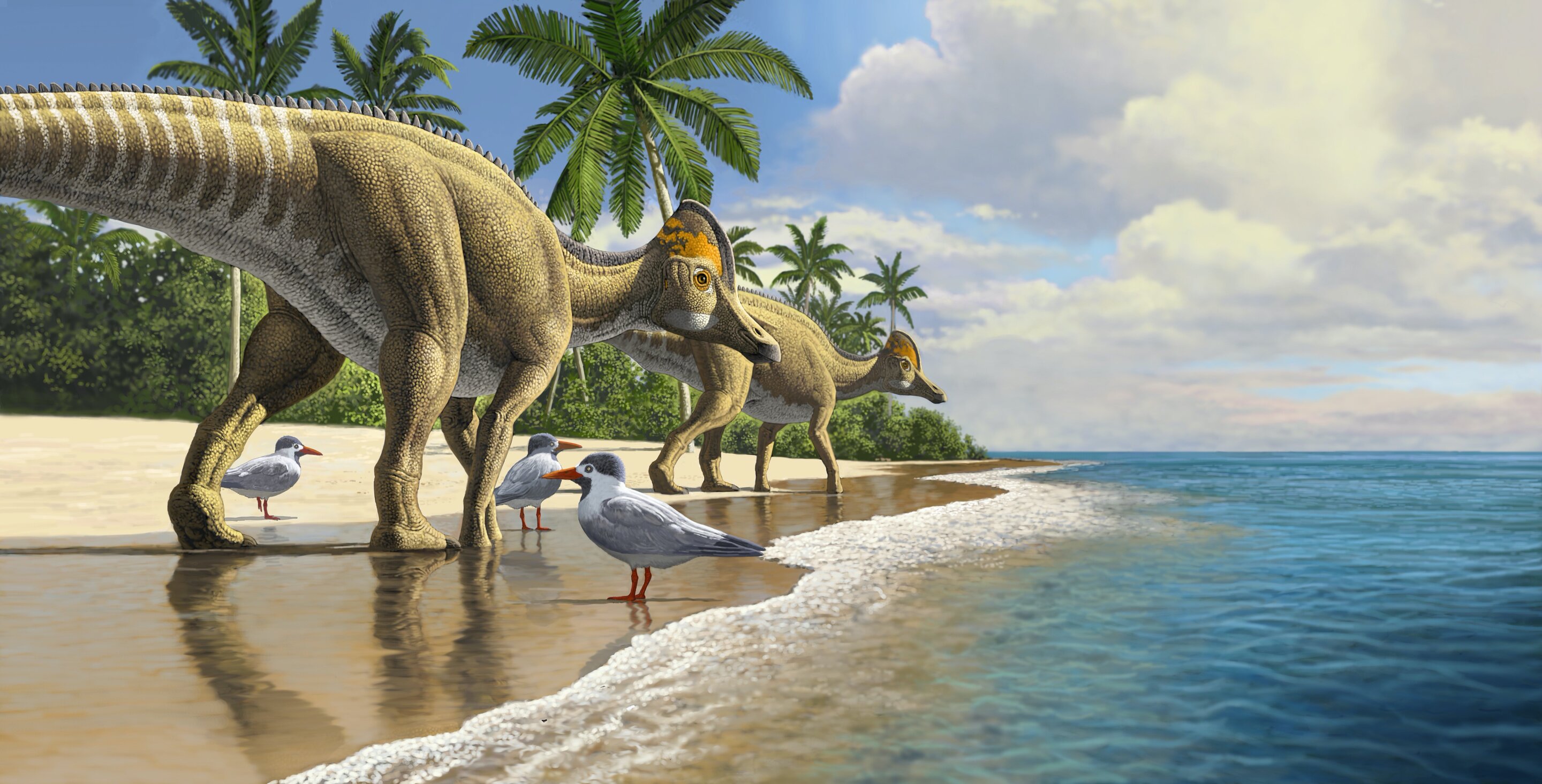 Ищите динозавров. Гадрозавриды гадрозавриды. Сухопутные динозавры. Эпоха динозавров.