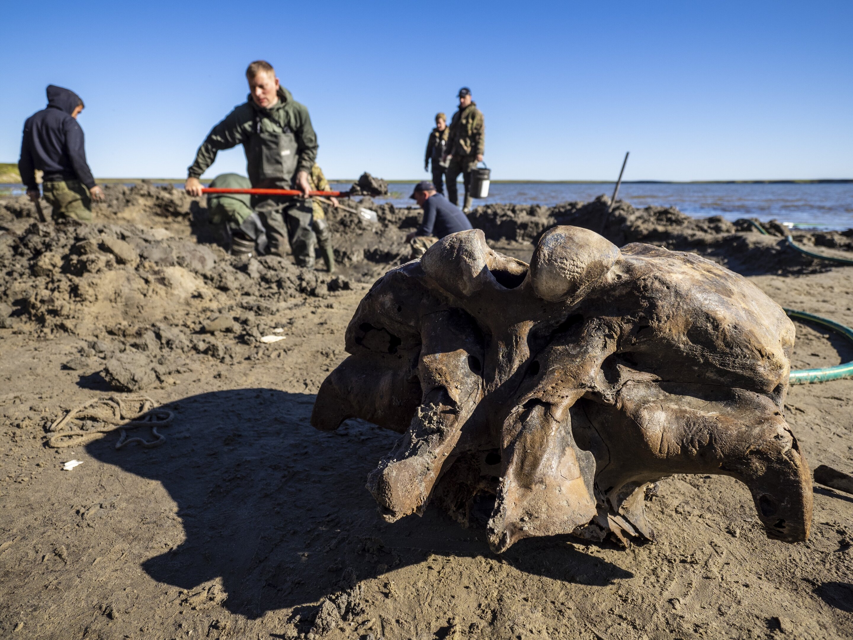  Archaeologists unearth a 20,000-year-old woolly mammoth skeleton in Kyrgyzstan.