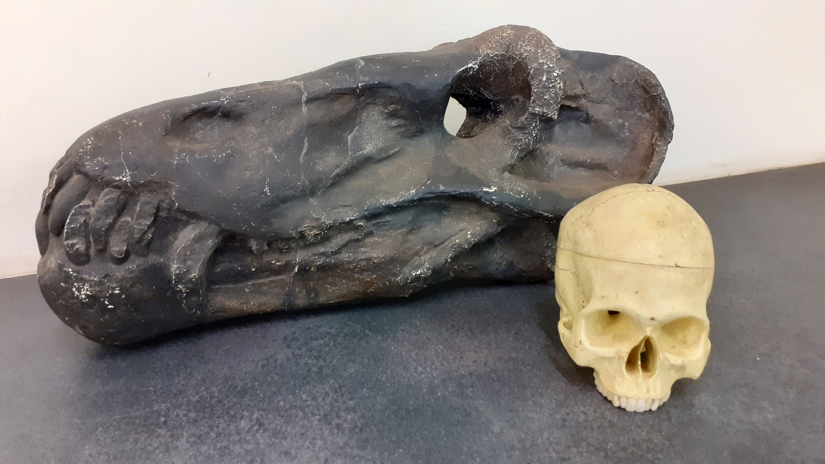 Нашли доисторический замороженную девушку 40 миллионов. Диноцефал ужасноголовый. Череп человека 2 миллиона лет назад.