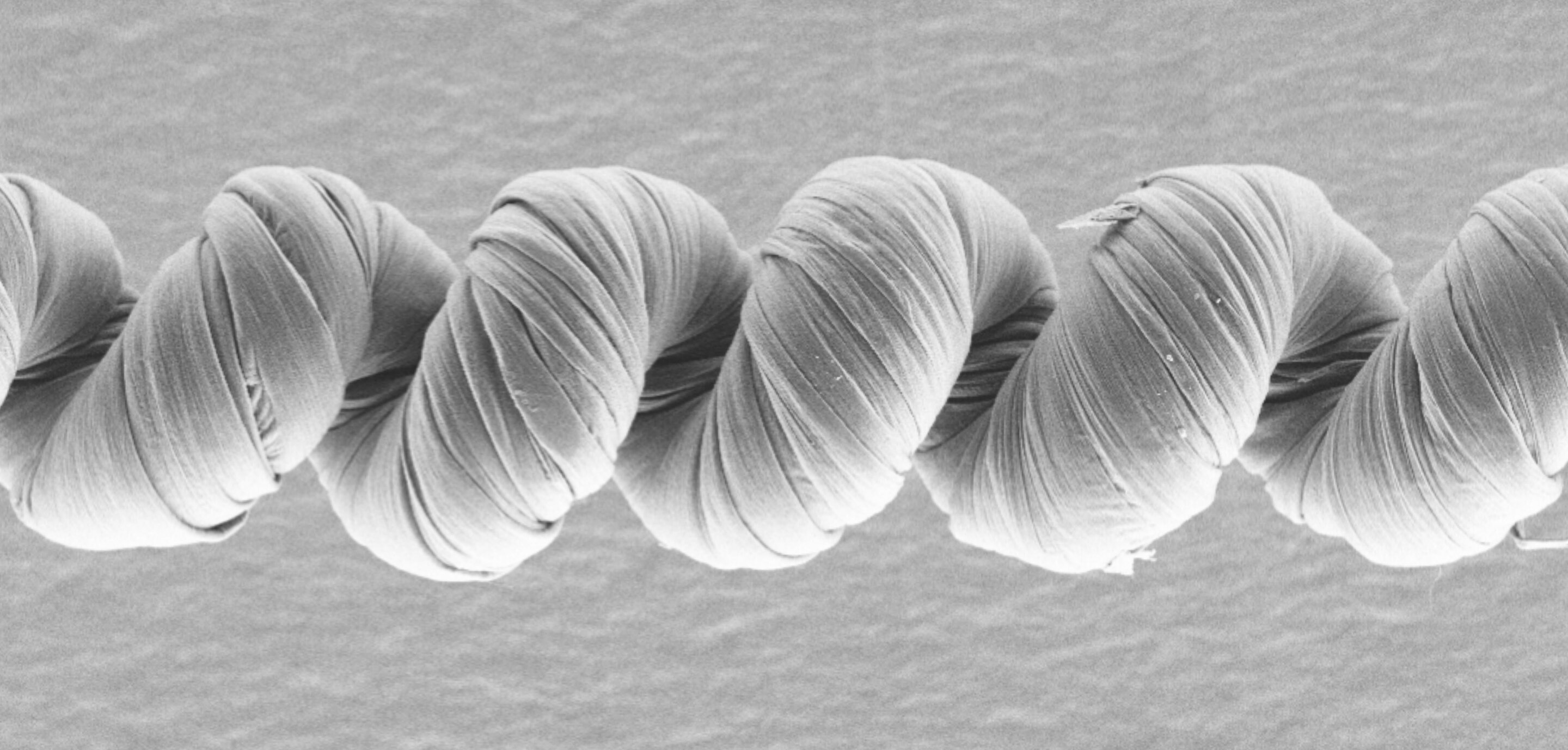 Researchers create powerful muscles from fishing line and sewing thread