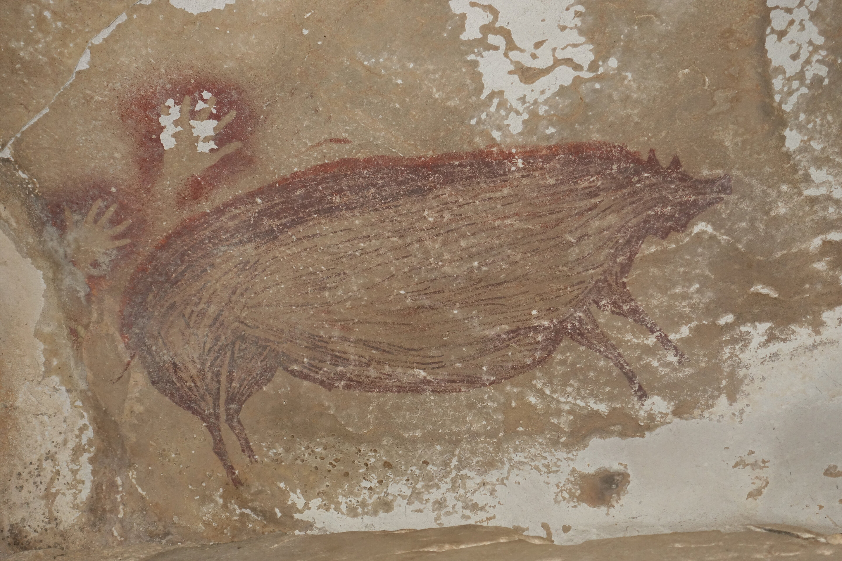Най-старата известна в света пещерна живопис, намерена в Индонезия