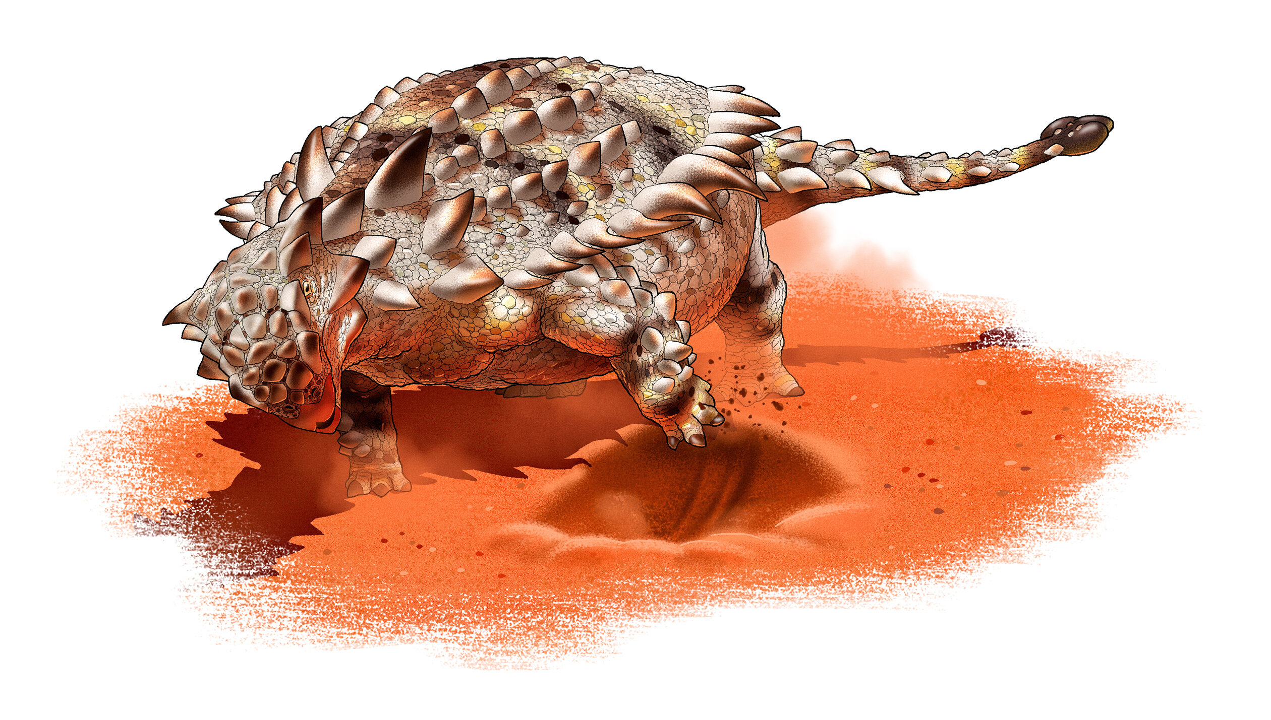 Prehistoric armoured dinosaur may have been able to