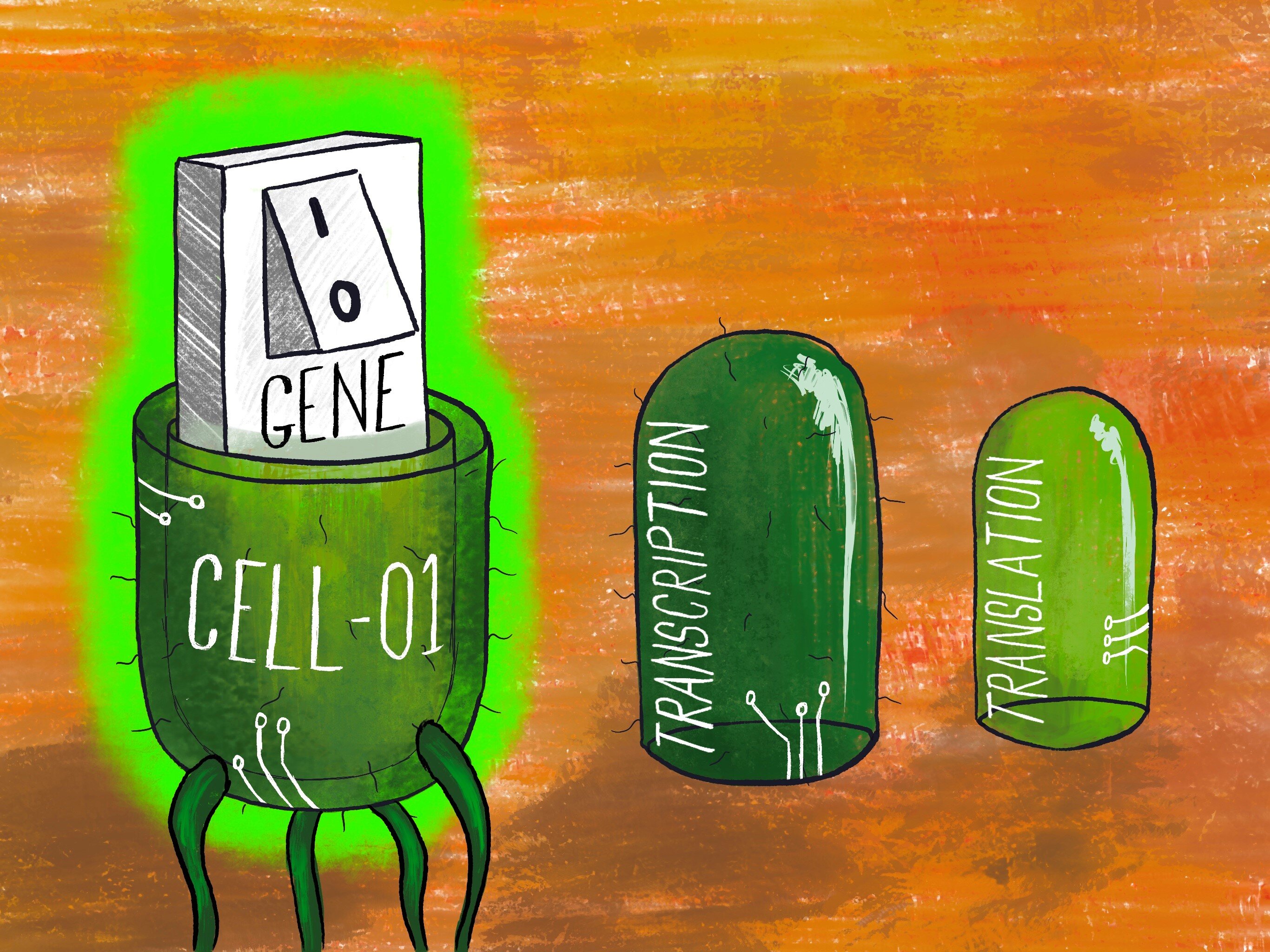 Bioengineering teaches the secrets to turning on genes