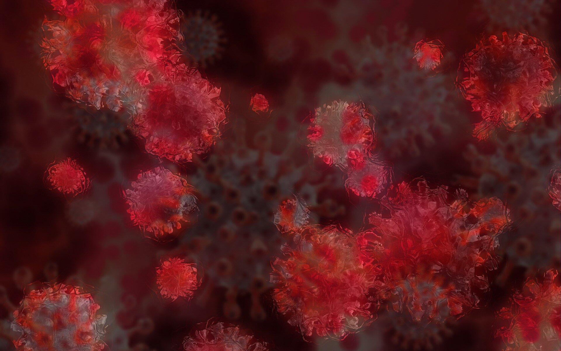 Científicos sudafricanos monitorean la nueva variante del coronavirus