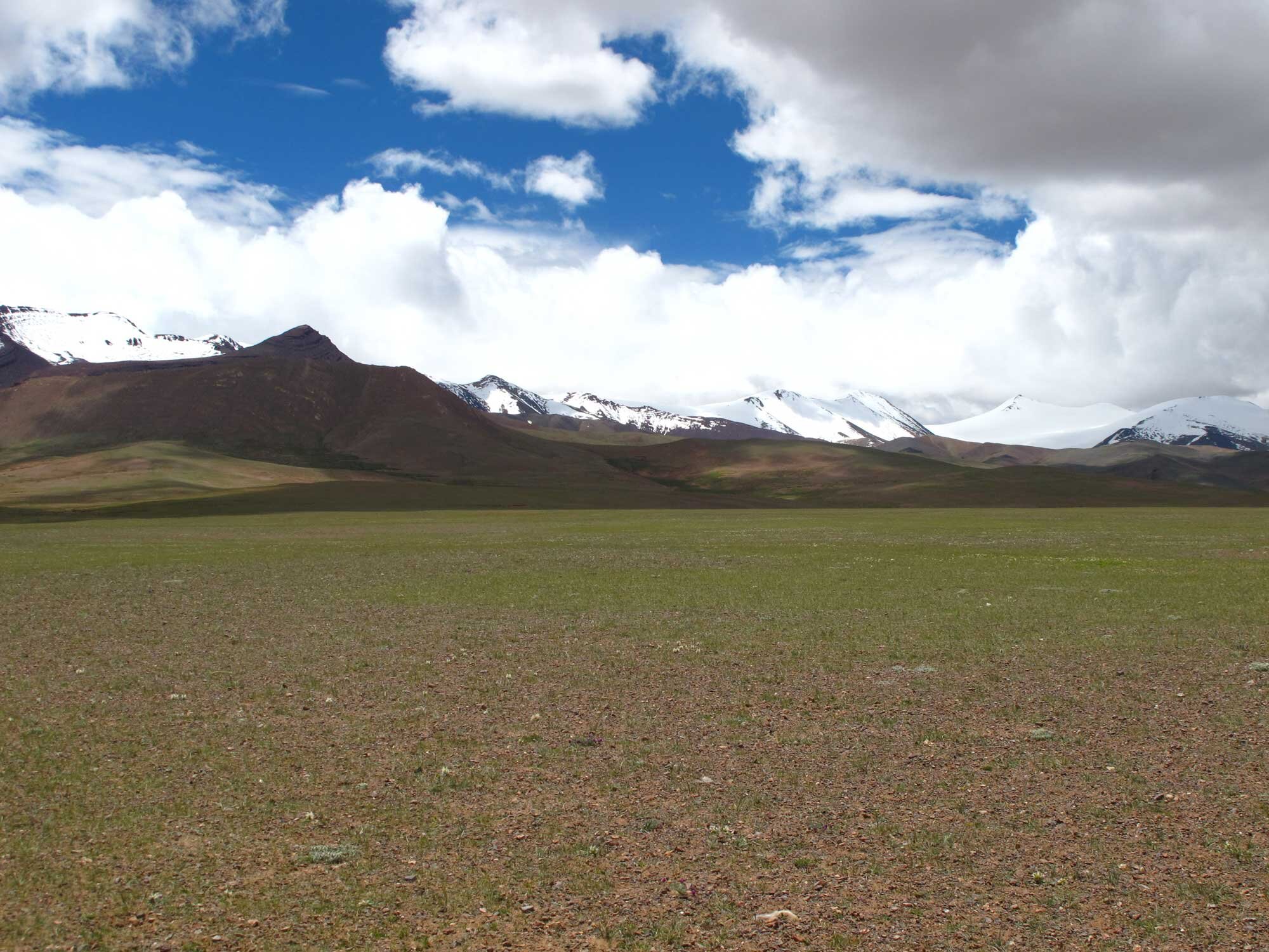 Denisovans or Homo sapiens: Who were the first to settle permanently on the Tibetan Plateau?
