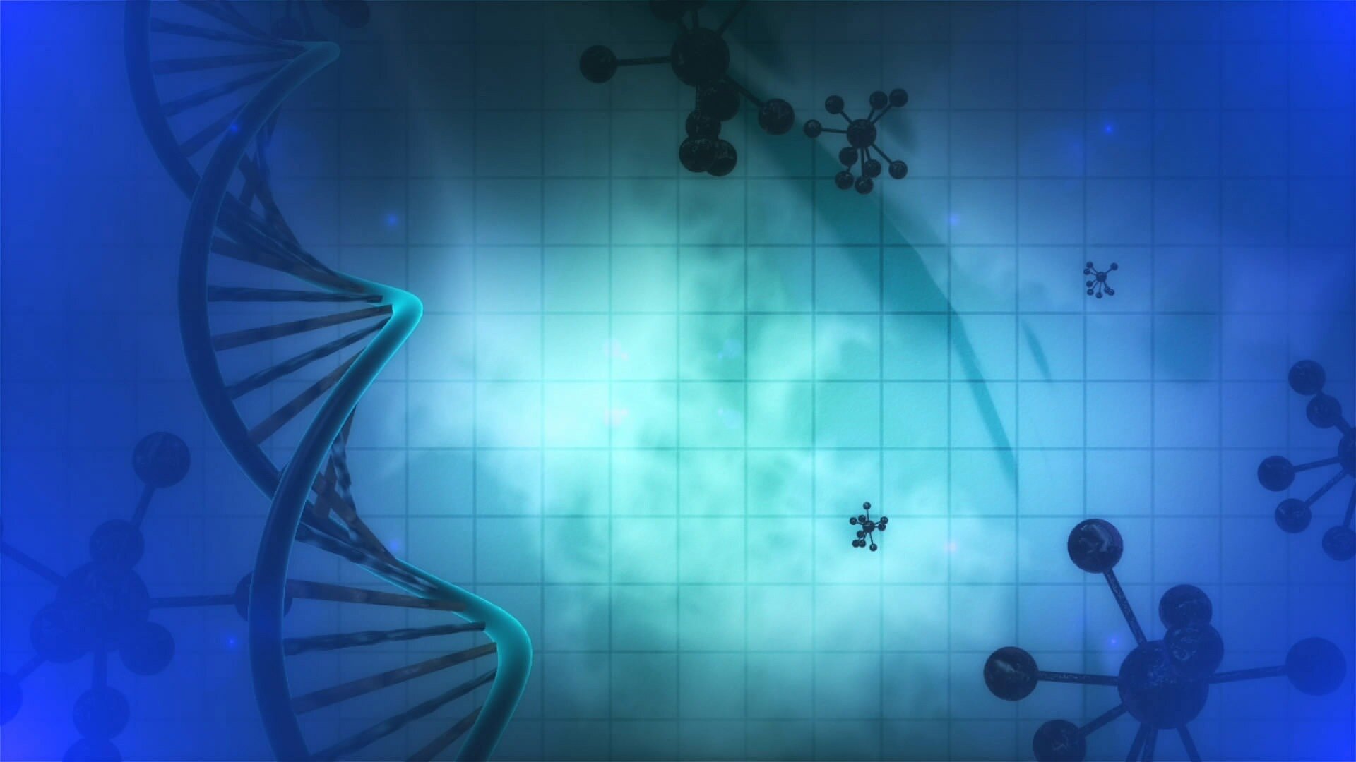 #From bridges to DNA: civil engineering across disciplines