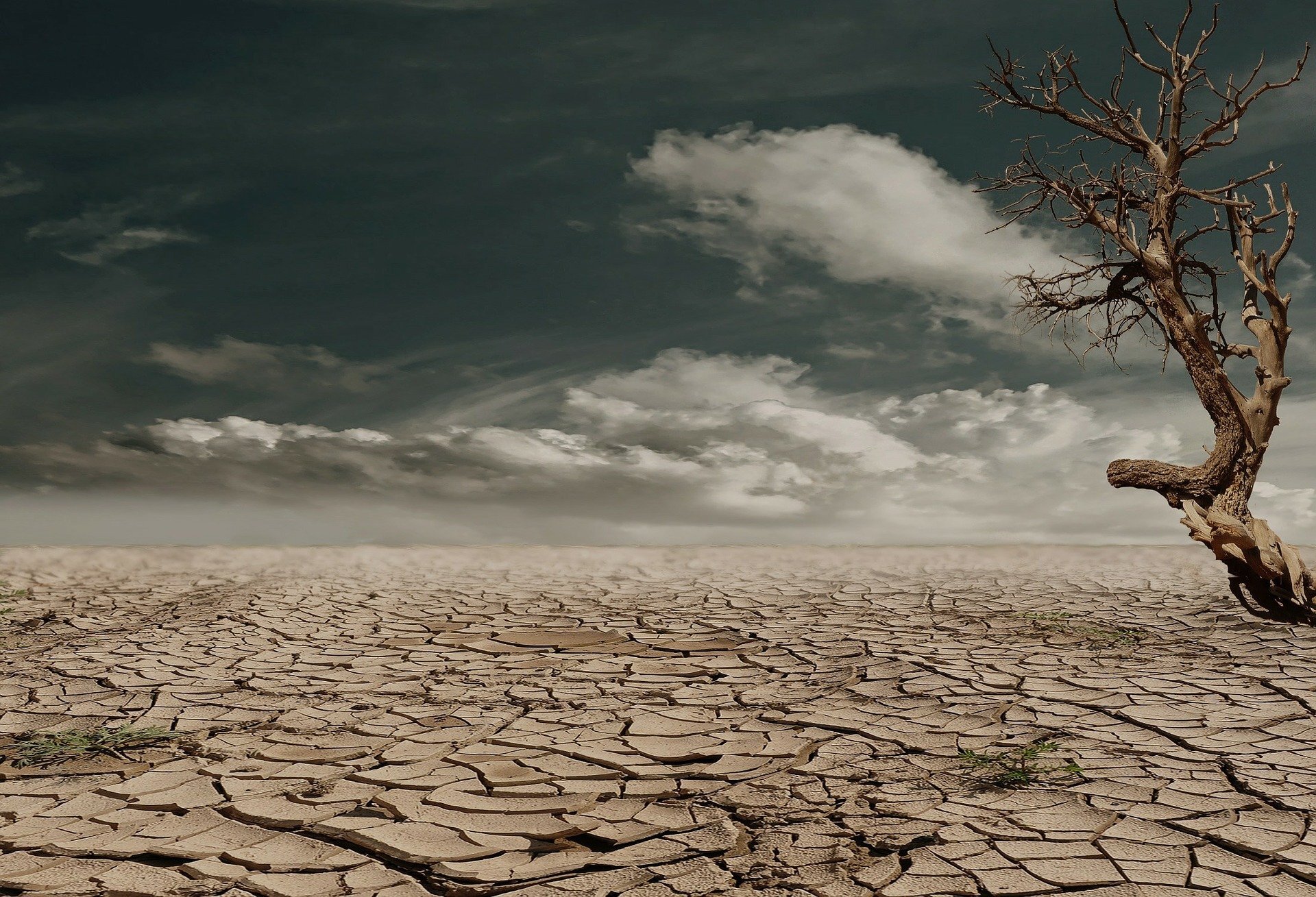 Rising global temperatures point to future widespread droughts