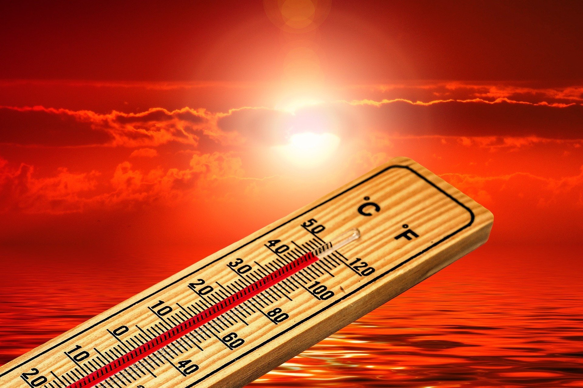 Heat-related symptoms affected one-quarter of Americans during summer of 2020
