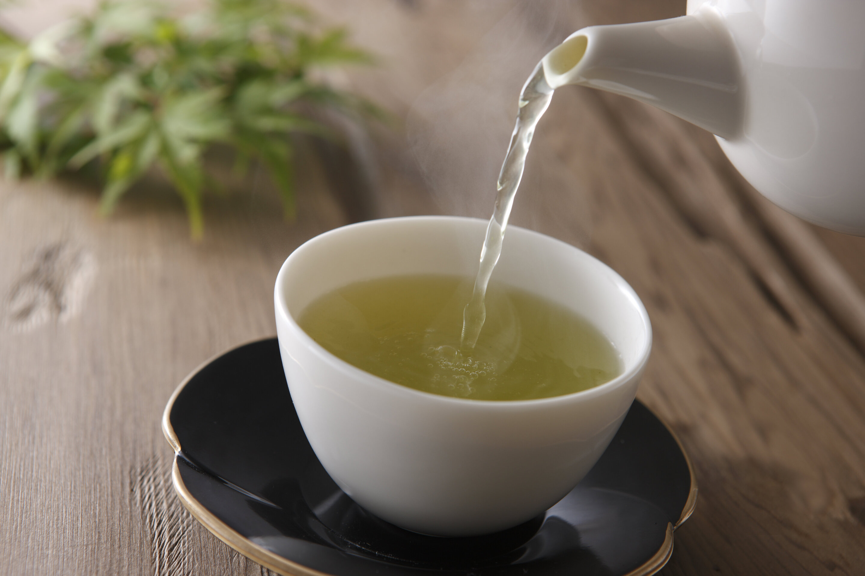 Green tea compound helps p53, ‘guardian of the genome’ and tumor suppressor