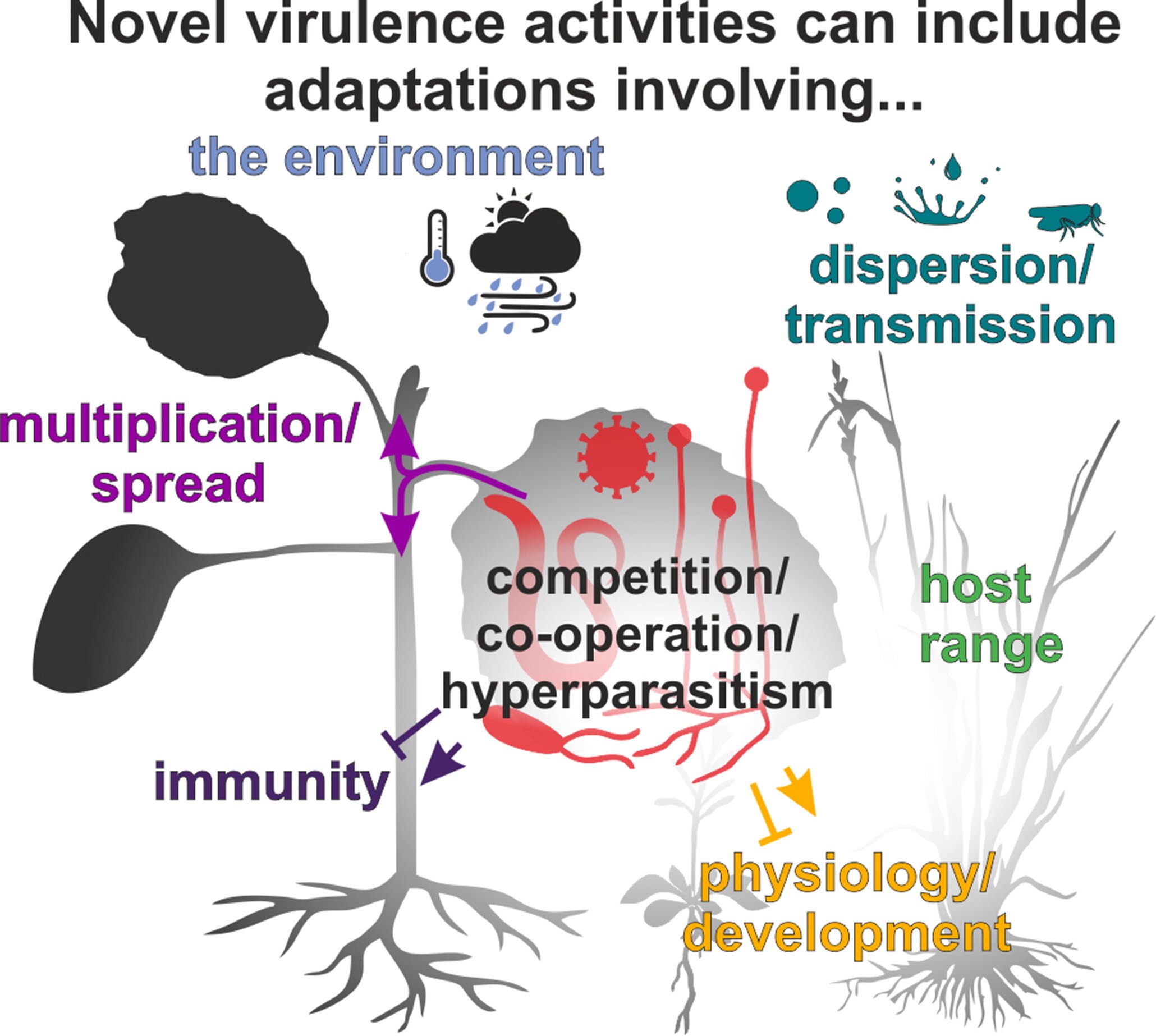 How do pathogens evolve novel virulence activities and why does it matter?