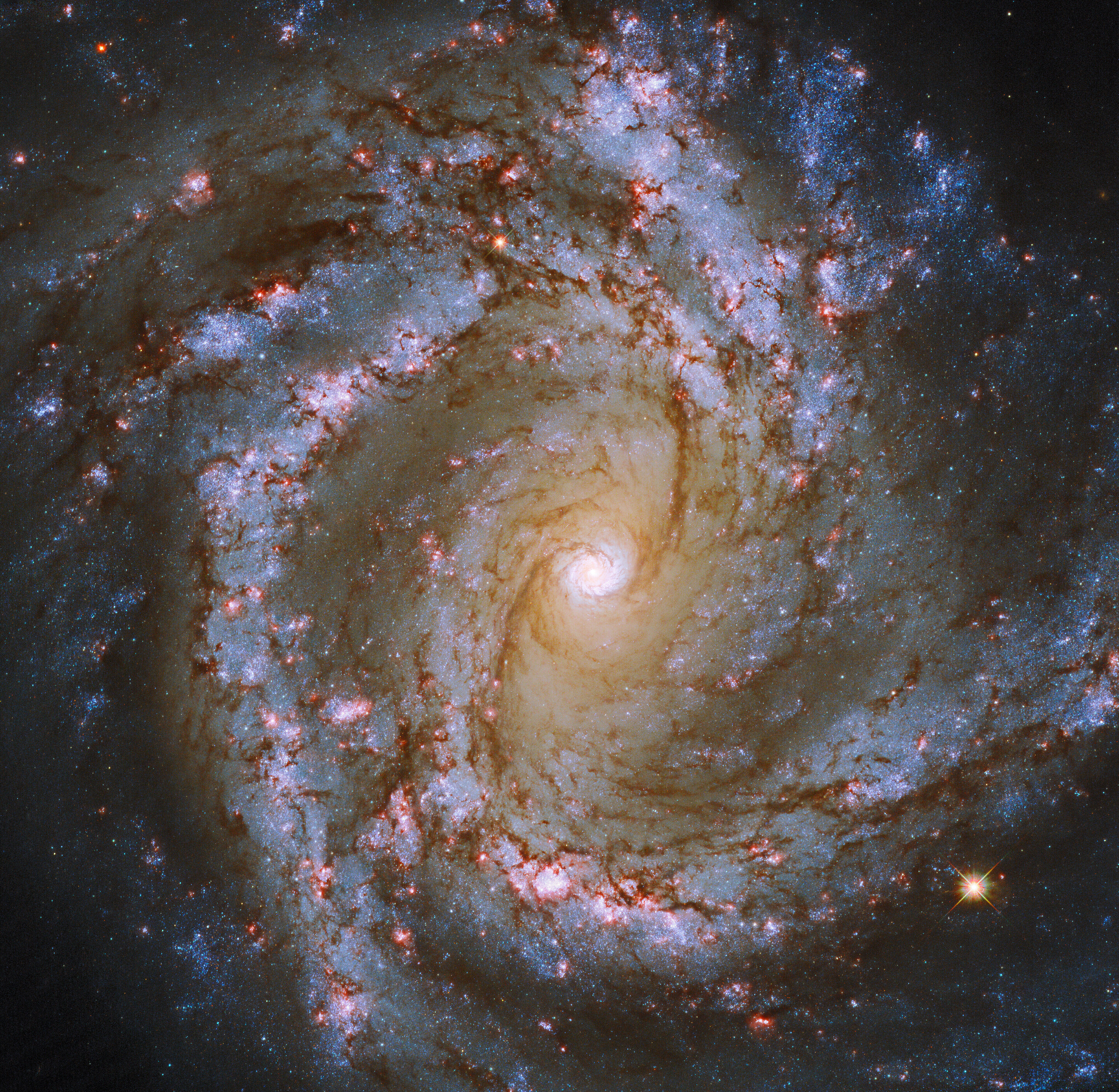 Hubble takes a spiral snapshot