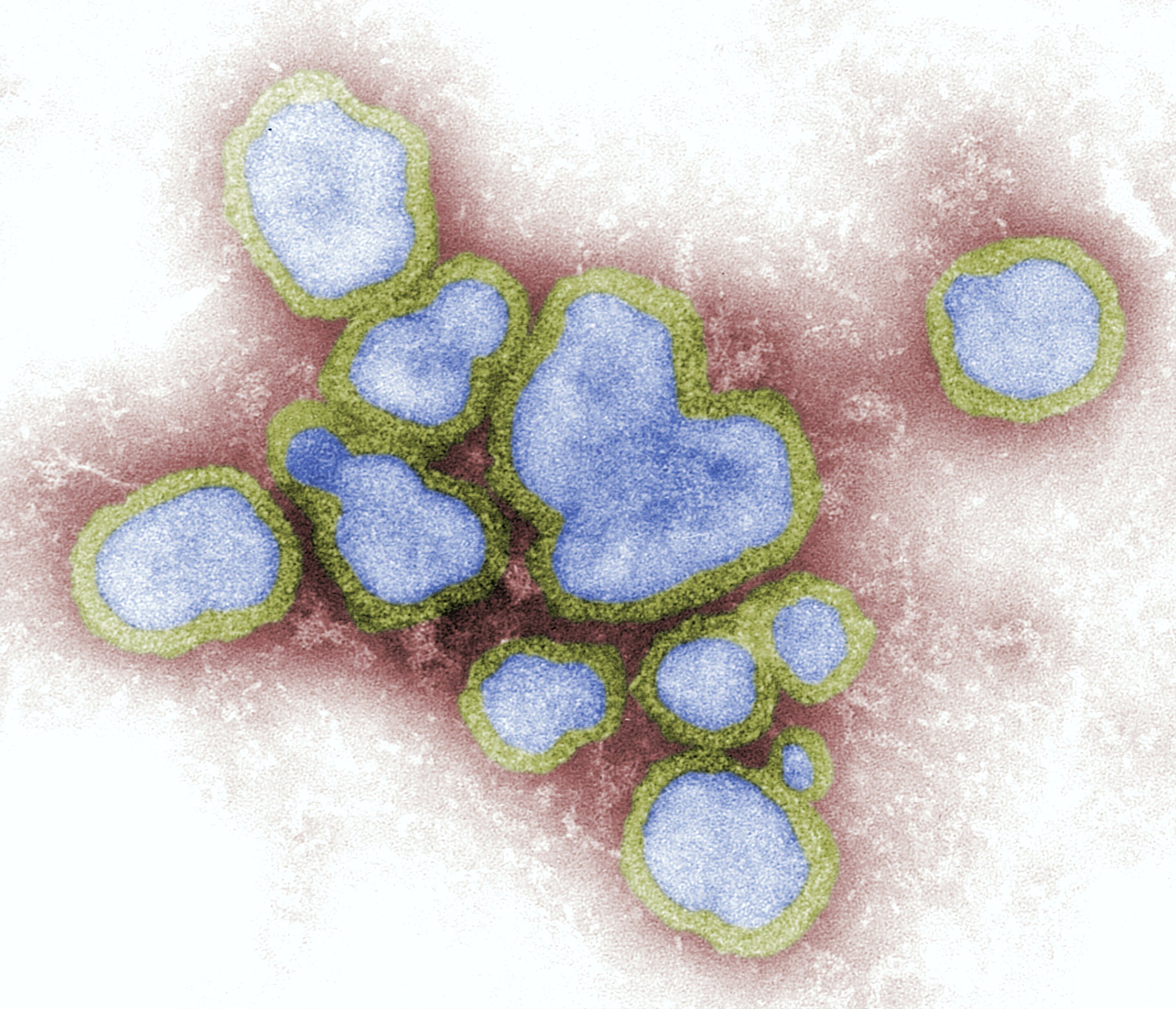 #Study shows experts rate influenza as the number one pathogen of concern of pandemic potential