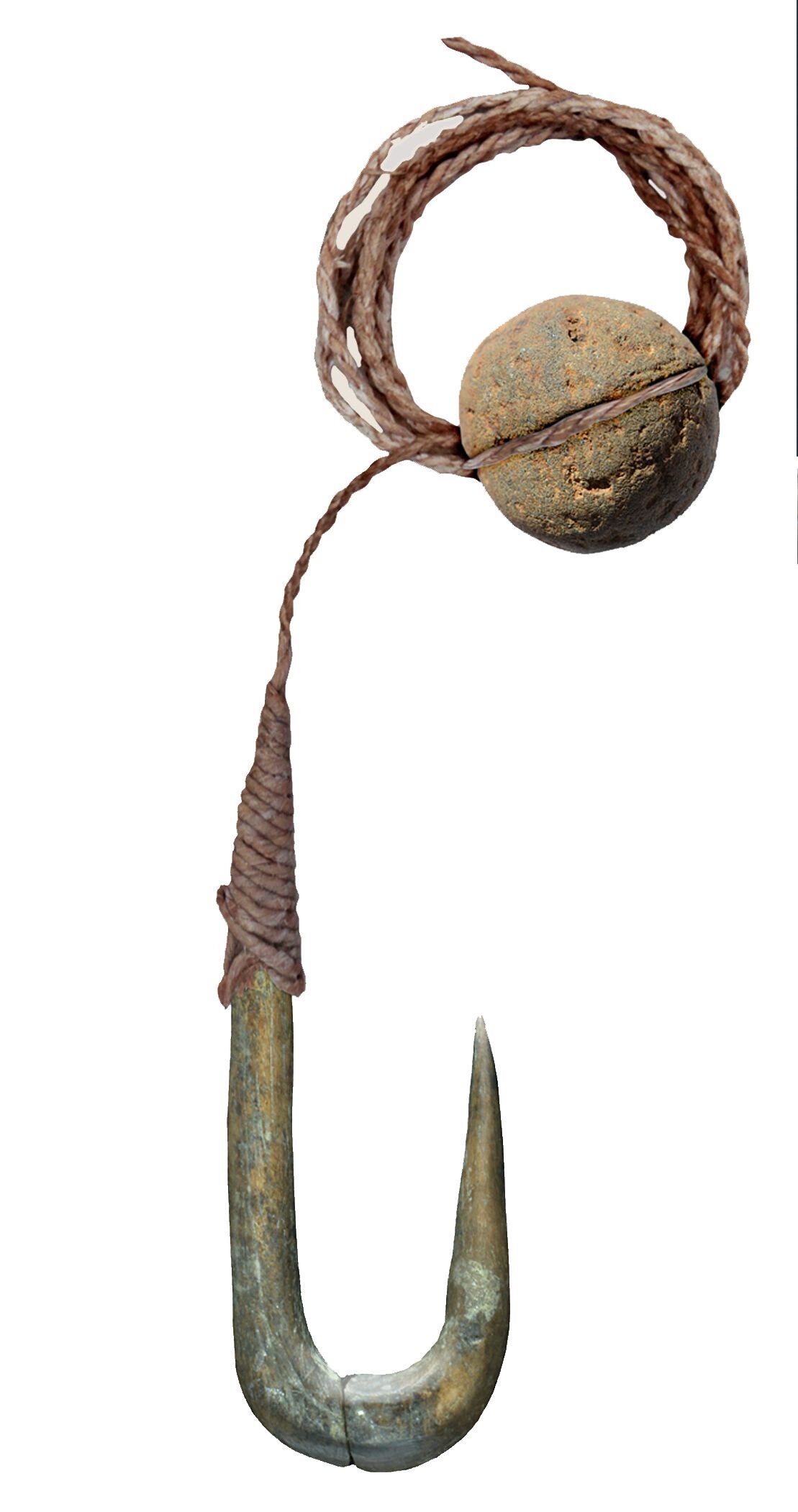 Line and hook fishing techniques in Epipaleolithic Israel