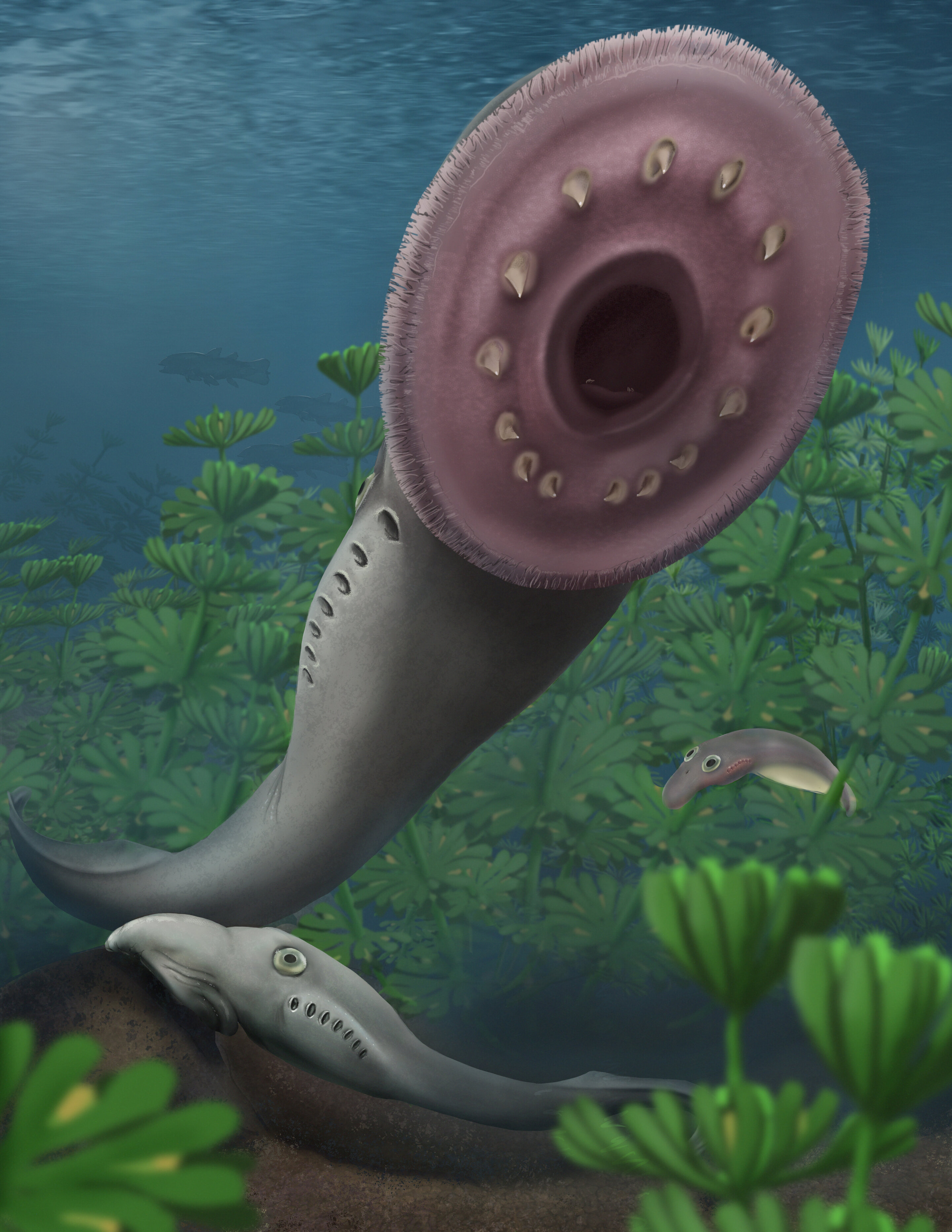 Long accepted theory of the origin of vertebrates overturned by fossilized fish larvae
