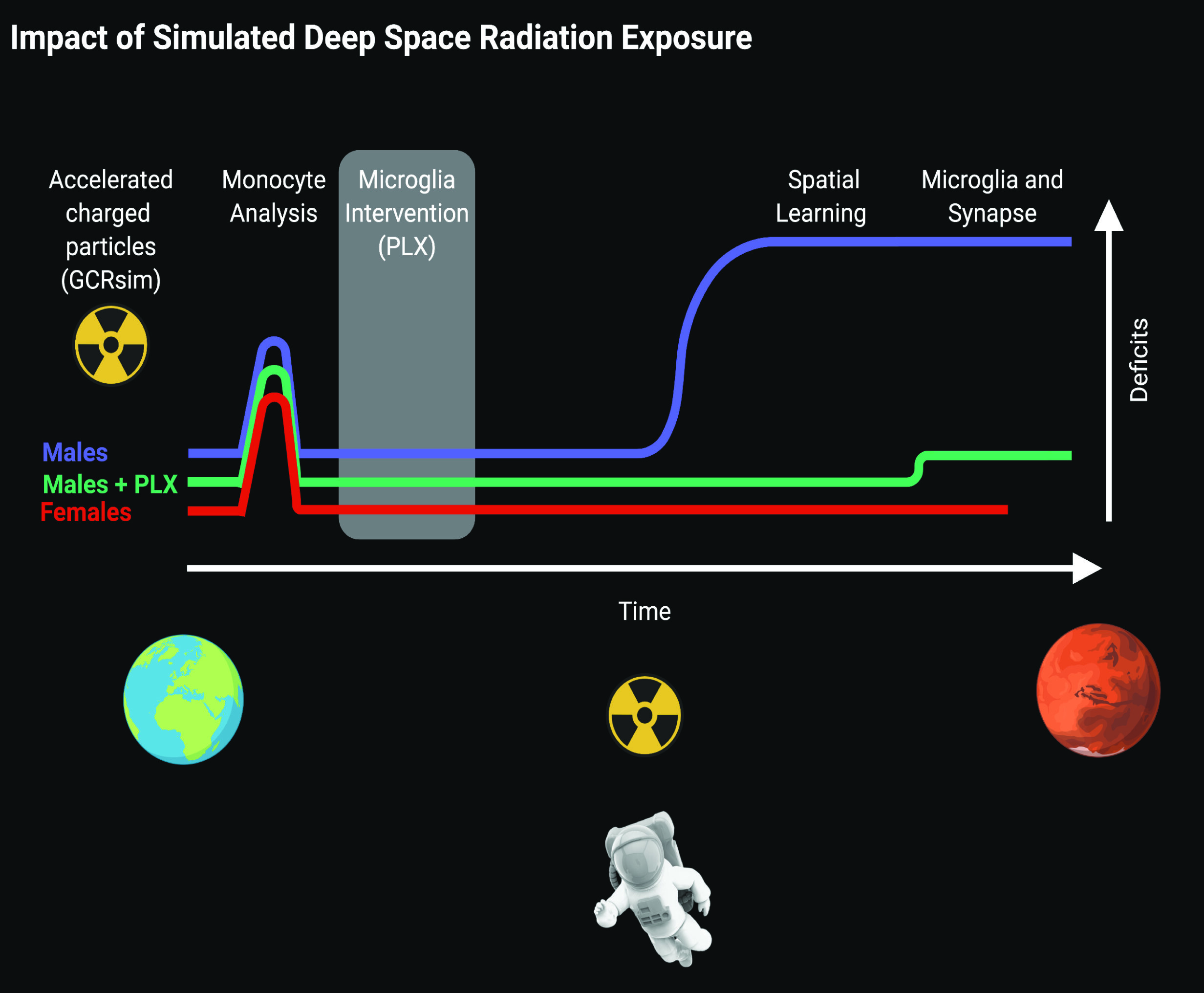 Male mice exposed to simulated deep space radiation experienced impaired spatial learning