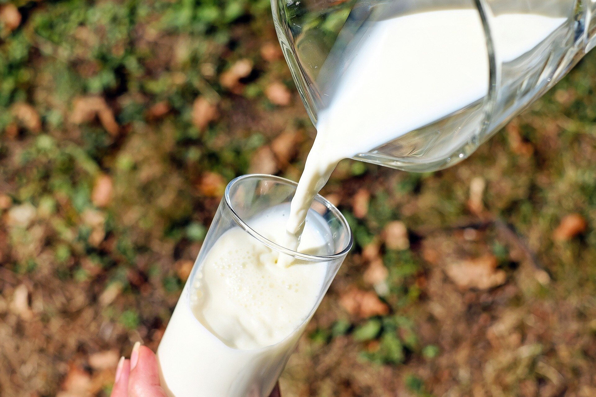 Will cell-based milk change the dairy industry? This California lab could lead the way