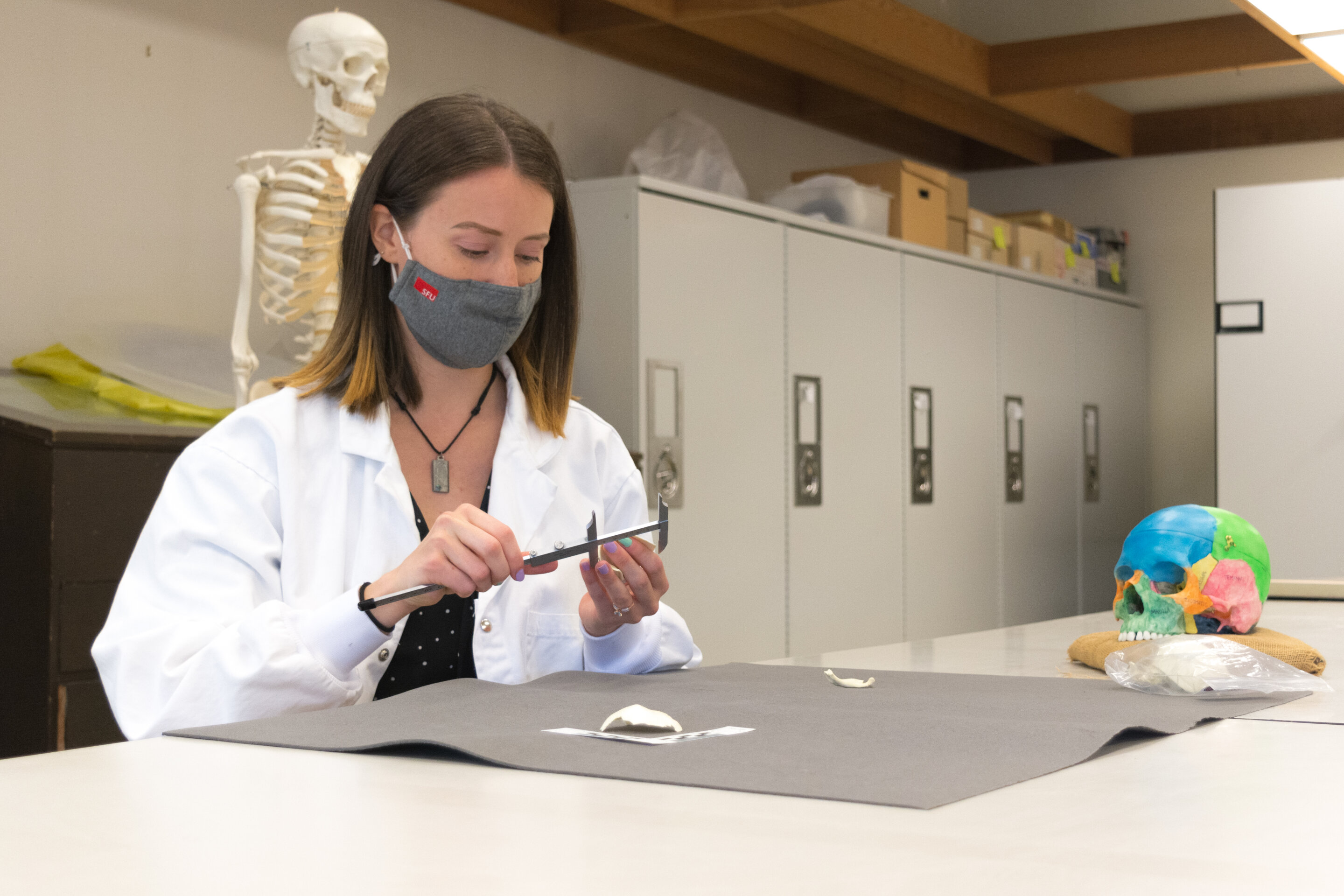 Deanna Smith, an SFU archeology MA student and study lead author, measures a bone in the lab. Credit: Kobie Huang
