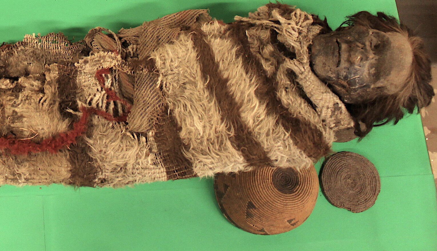Nits on ancient mummies shed light on South American ancestry
