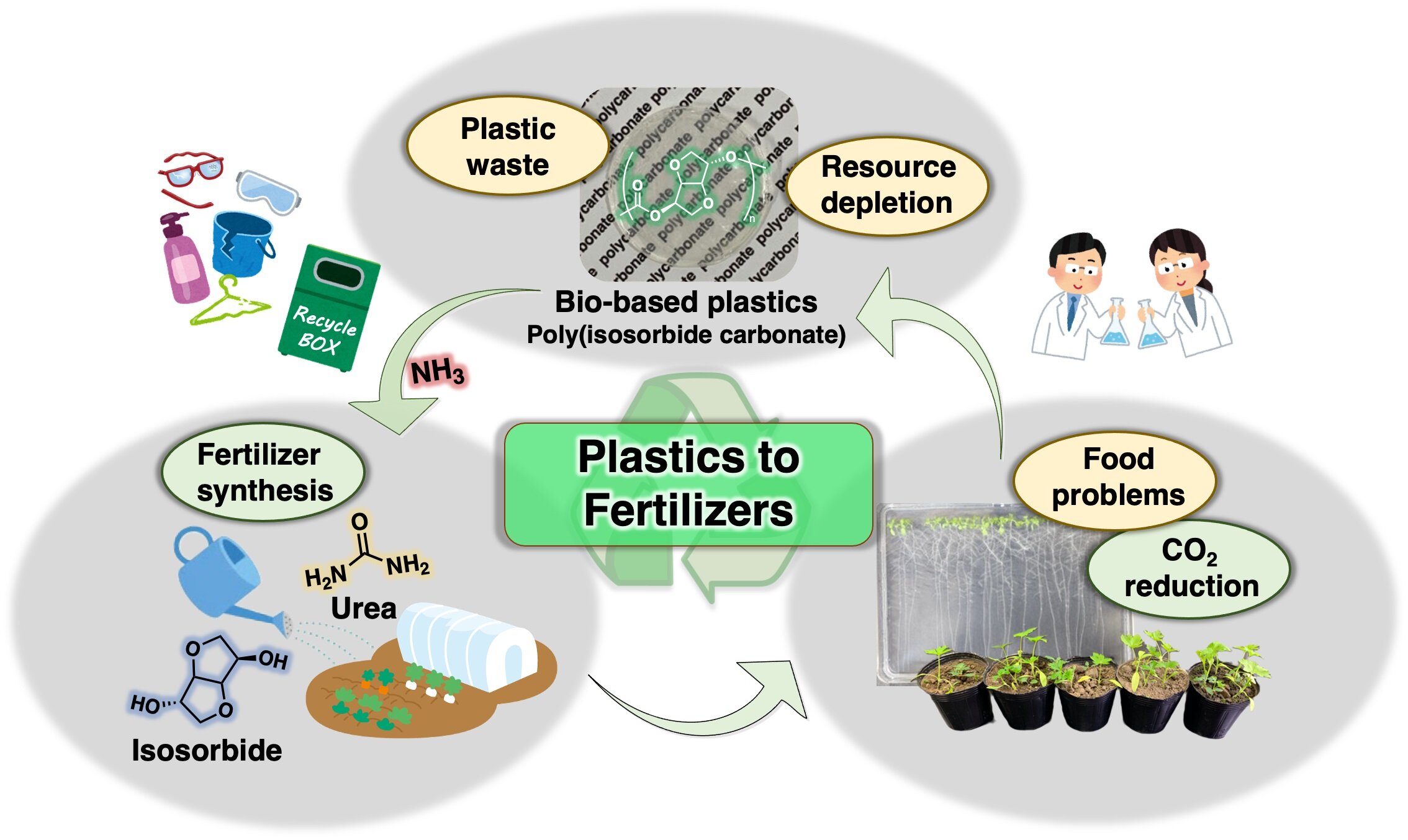 Do Plastics Derived from Soy Beans Exhibit Different Properties to Plastics  Derived from Traditional Methods?
