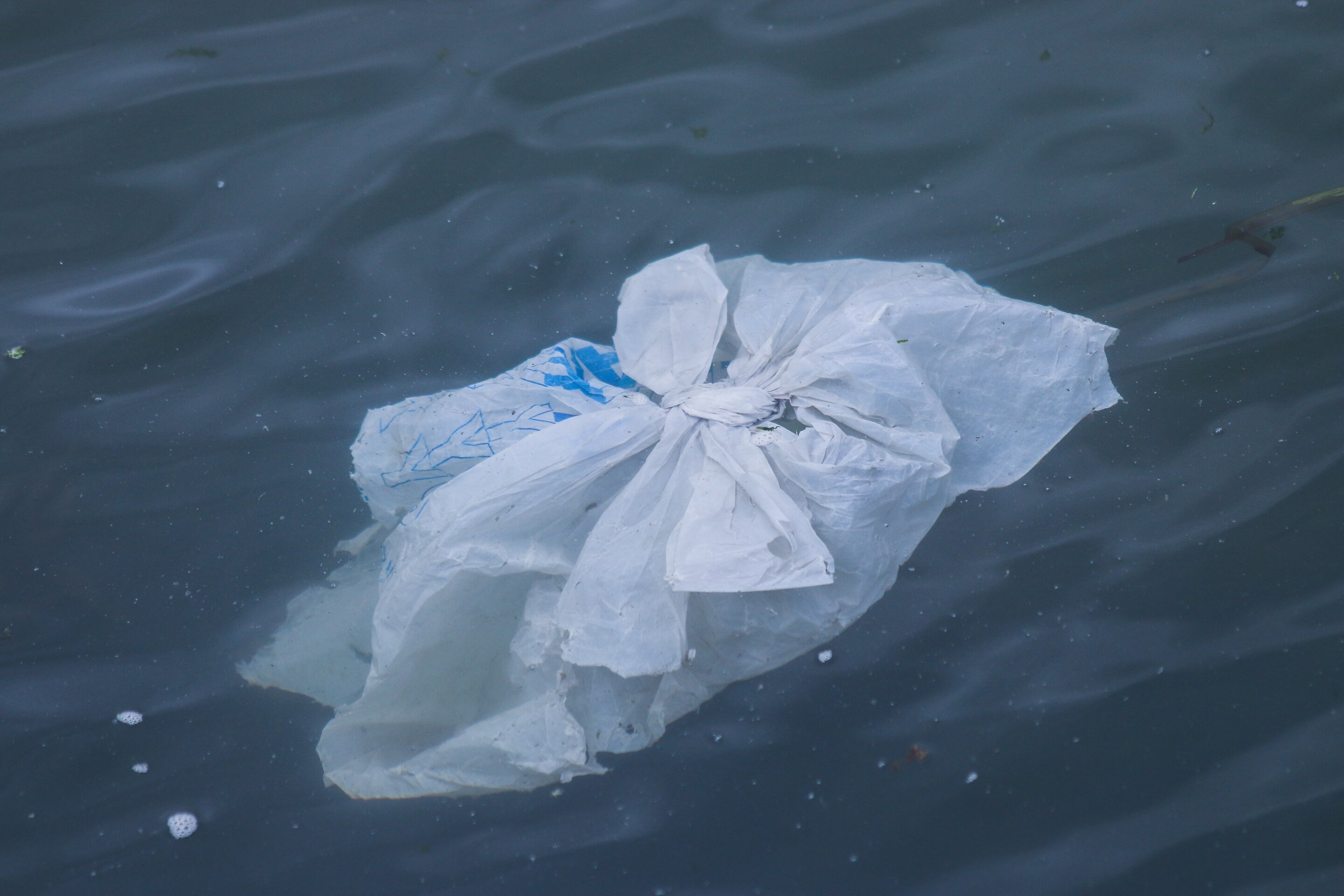 How banning plastic bags could help New York mitigate climate change