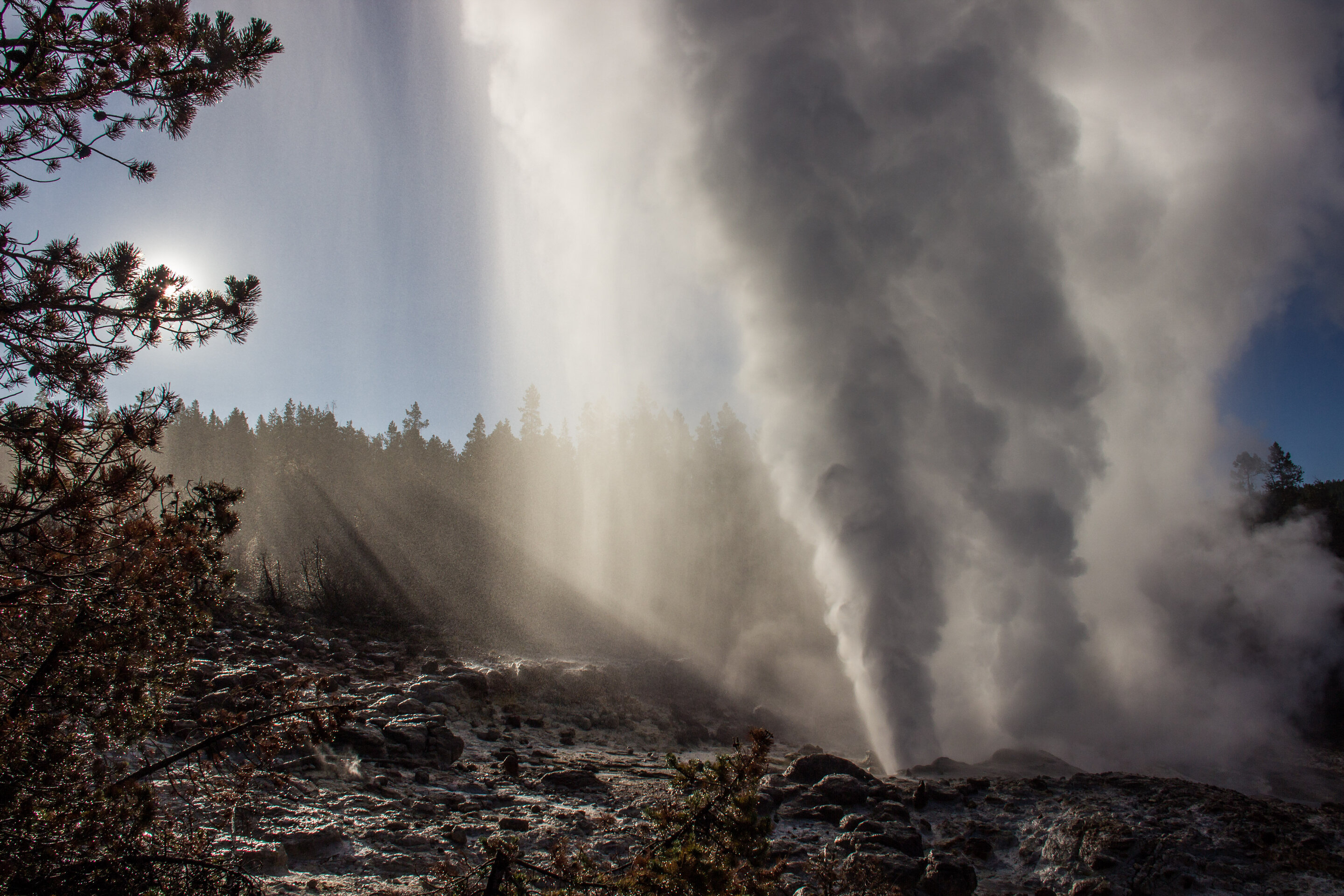 The reawakened geyser does not predict Yellowstone volcanic eruptions, study shows