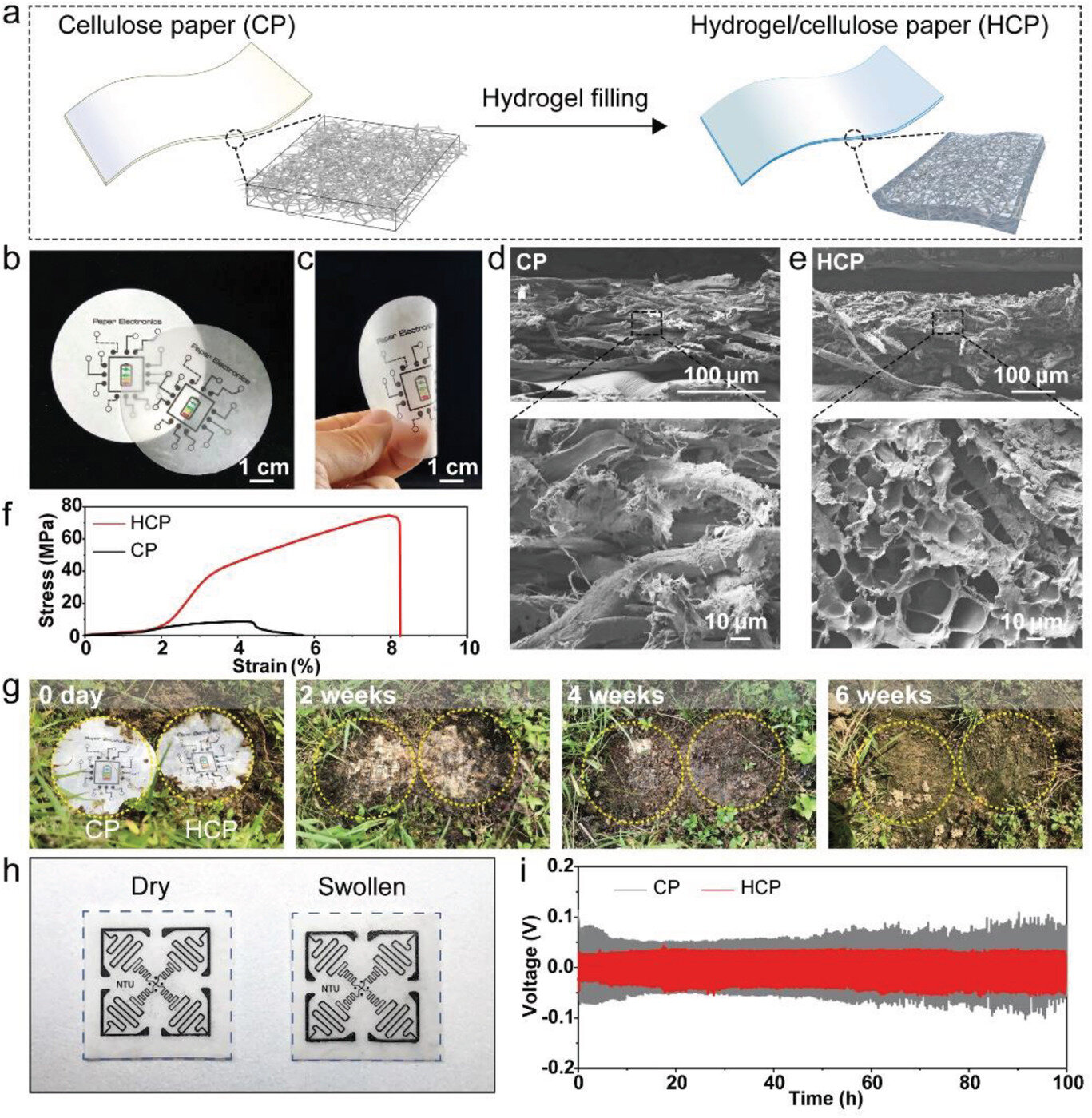 Scientists develop biodegradable printed paper batteries