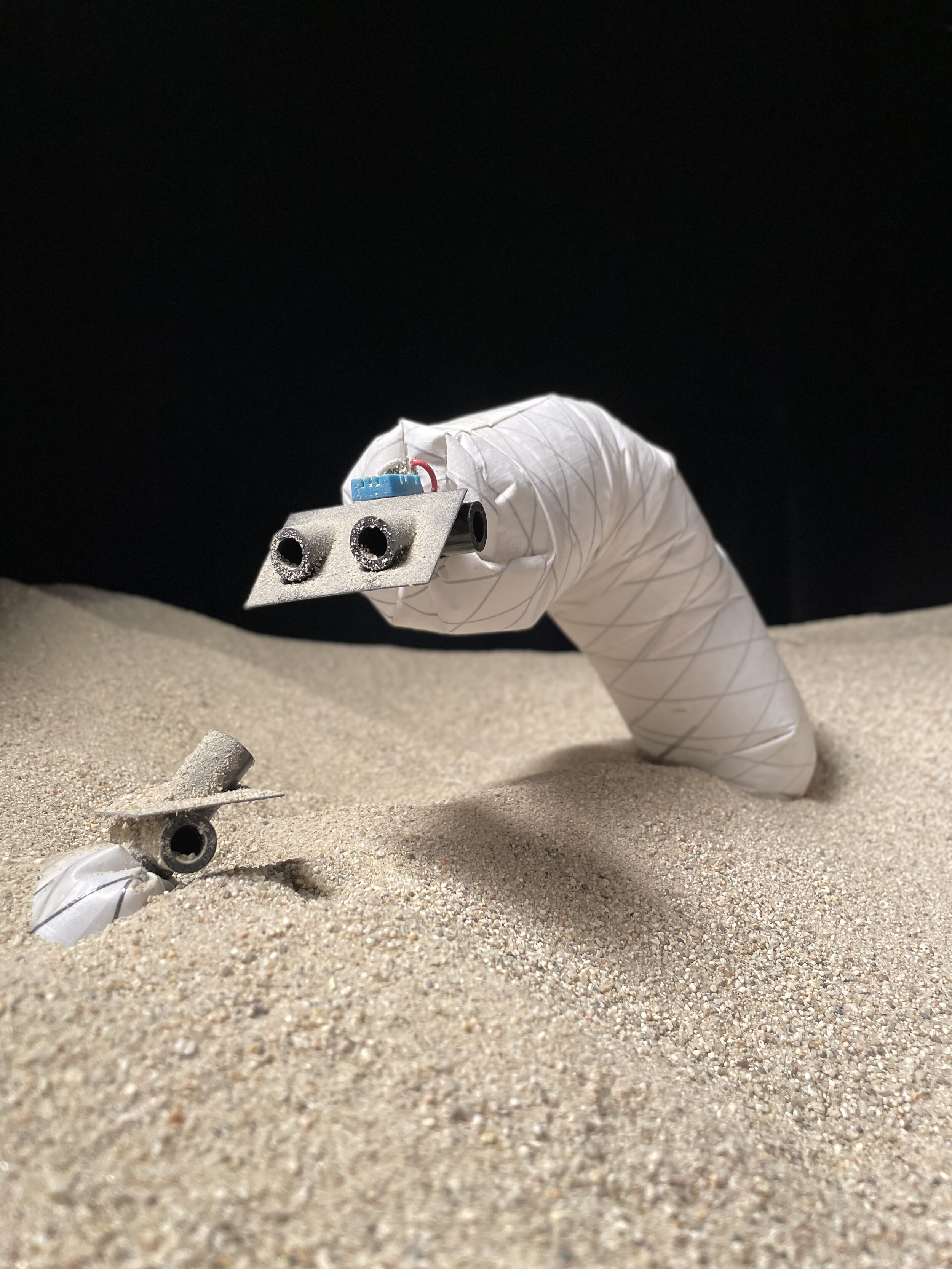 Researchers explore the shallow underground world with a burrowing soft robot