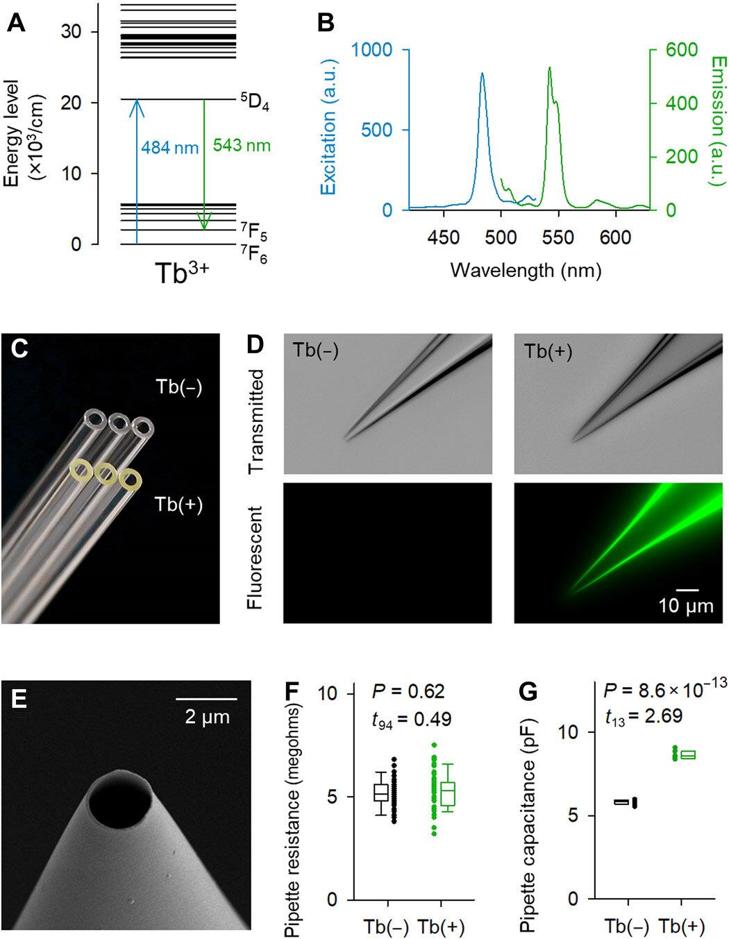 Terbium (III)-doped fluorescent glass for biomedical research