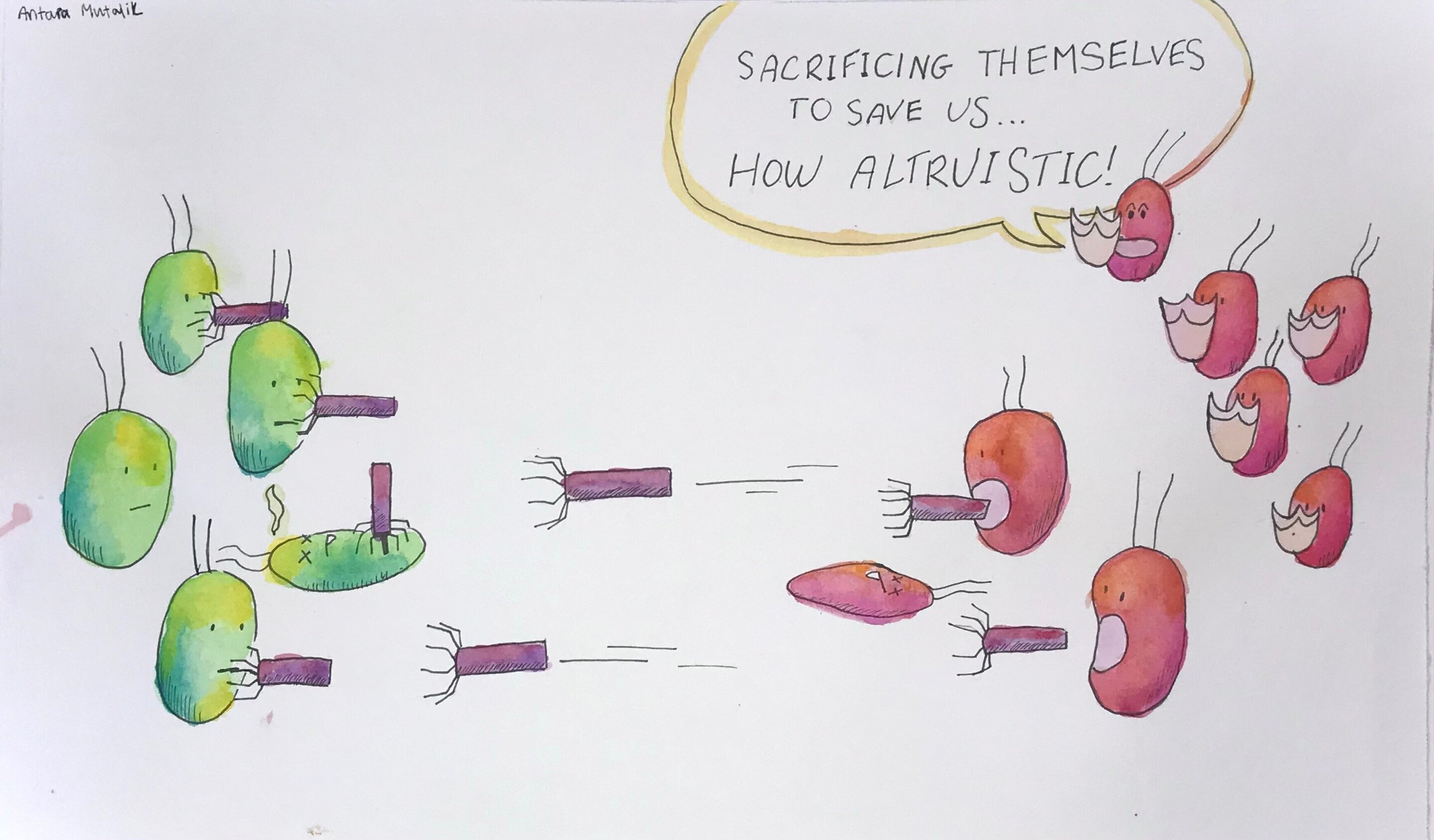 The incredible bacterial ‘homing missiles’ that scientists want to deploy