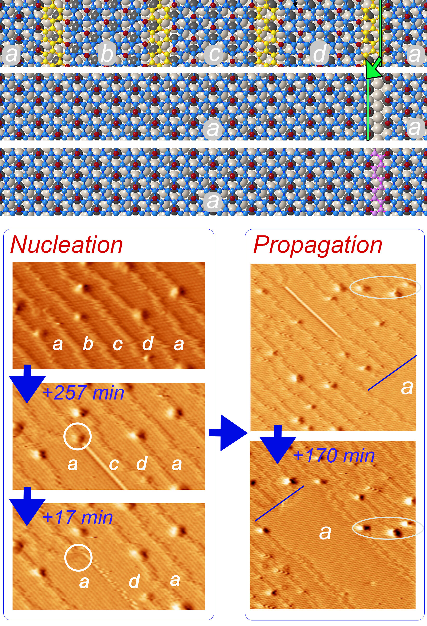Monitoring the evolution of crystal dislocations in a silicene sheet
