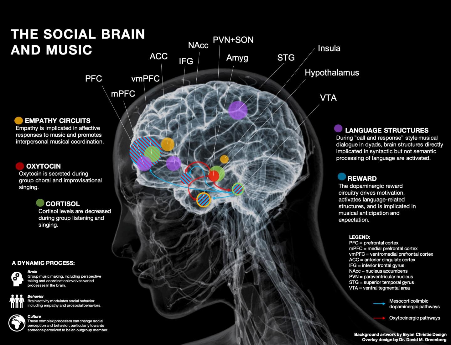 how music affects the brain research