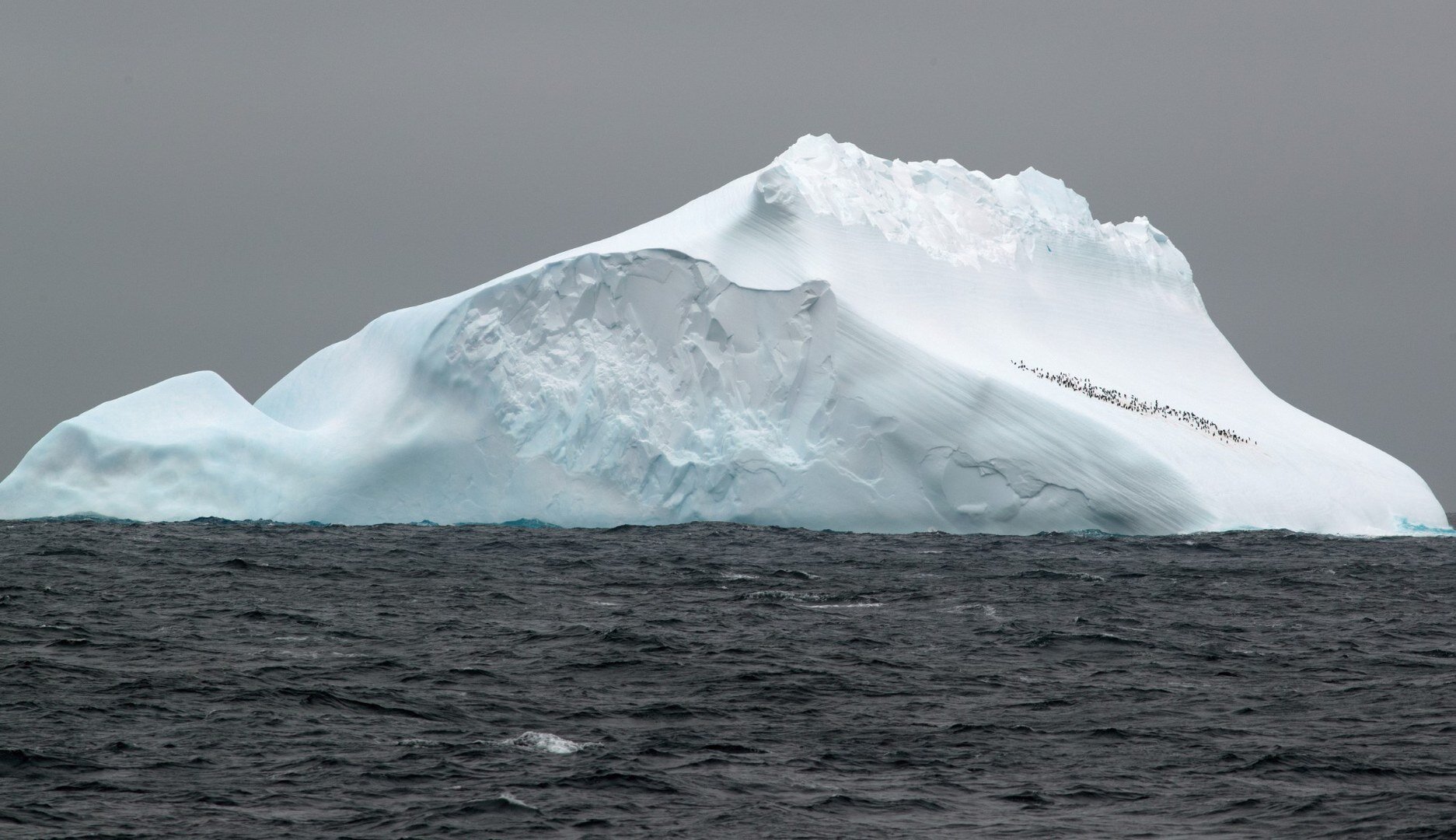 Researchers find 1 million-year-old marine DNA in Antarctic sediment