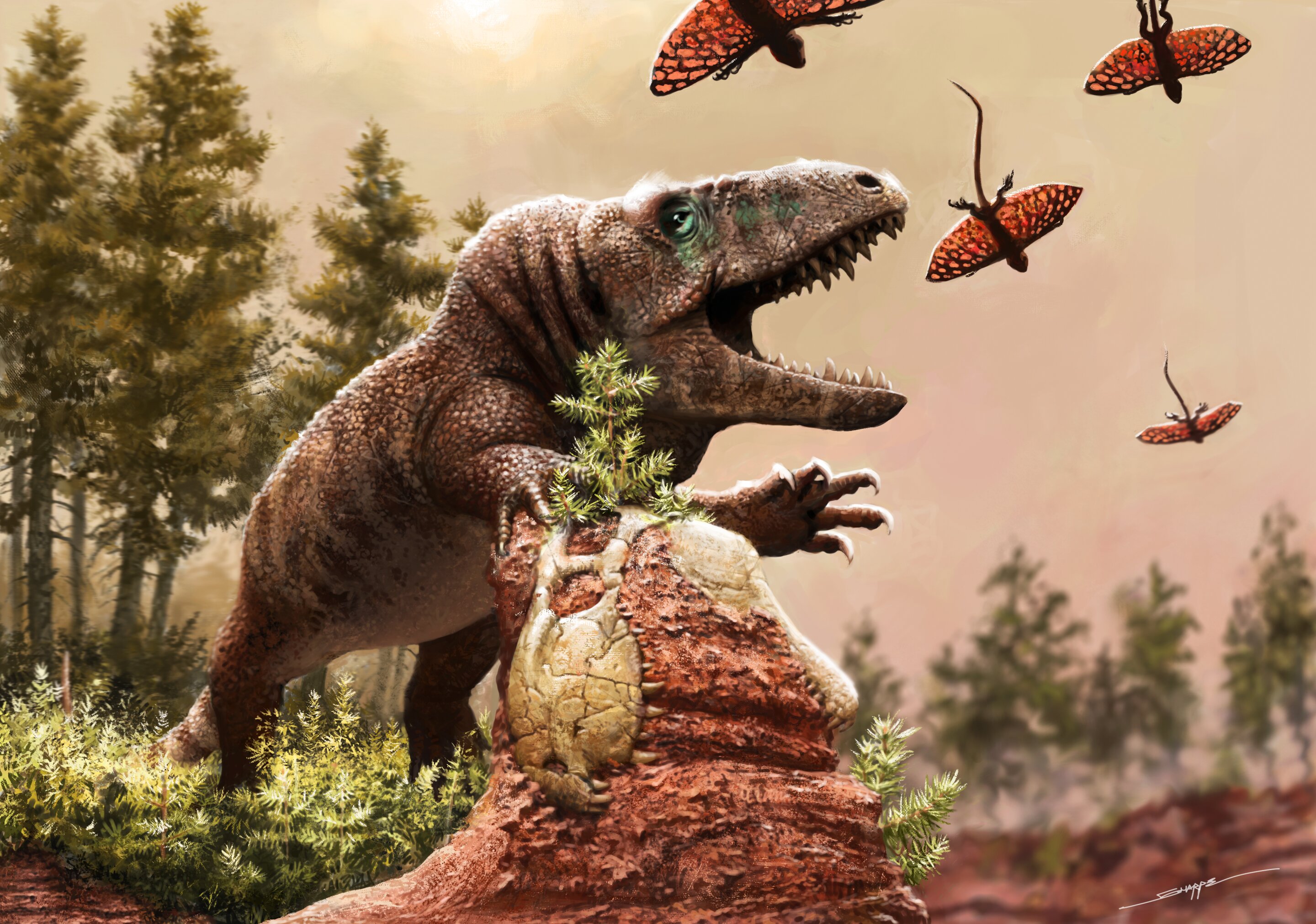 60 million years of climate change drove the evolution and diversity of reptiles