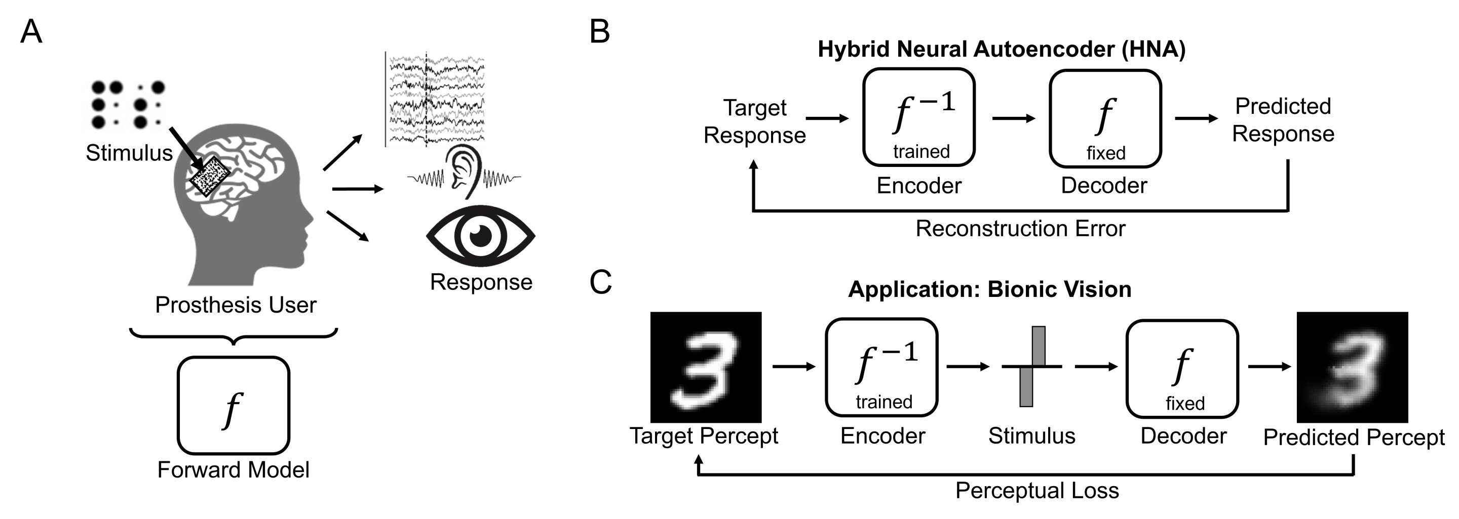 A neural autoencoder to enhance sensory neuroprostheses