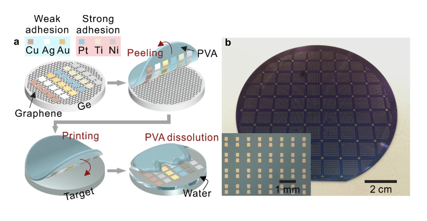 A transfer-printing technique to integrate metal electrodes and 2D materials on a wafer-scale