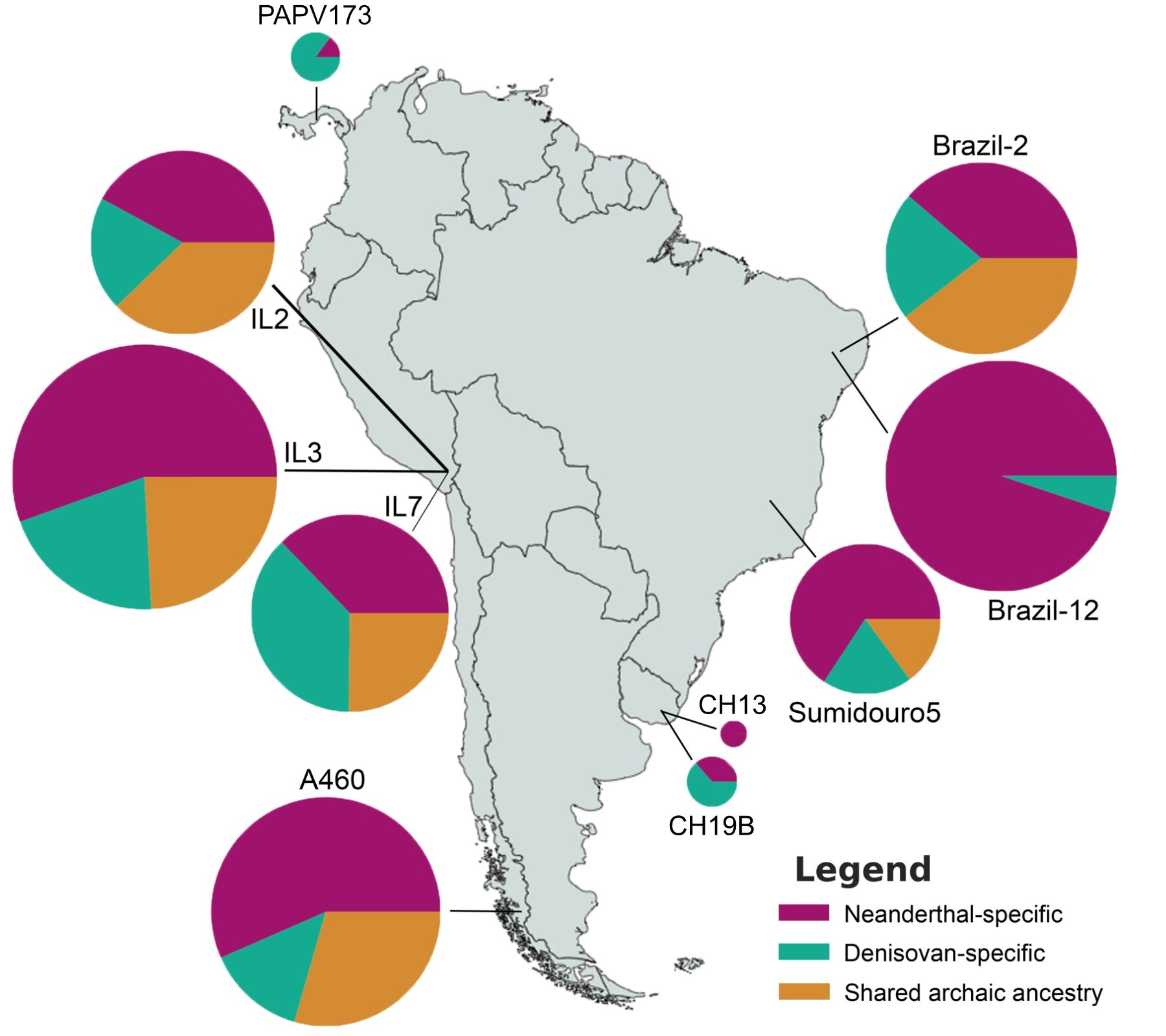 El análisis de ADN antiguo arroja luz sobre el asentamiento temprano de América del Sur