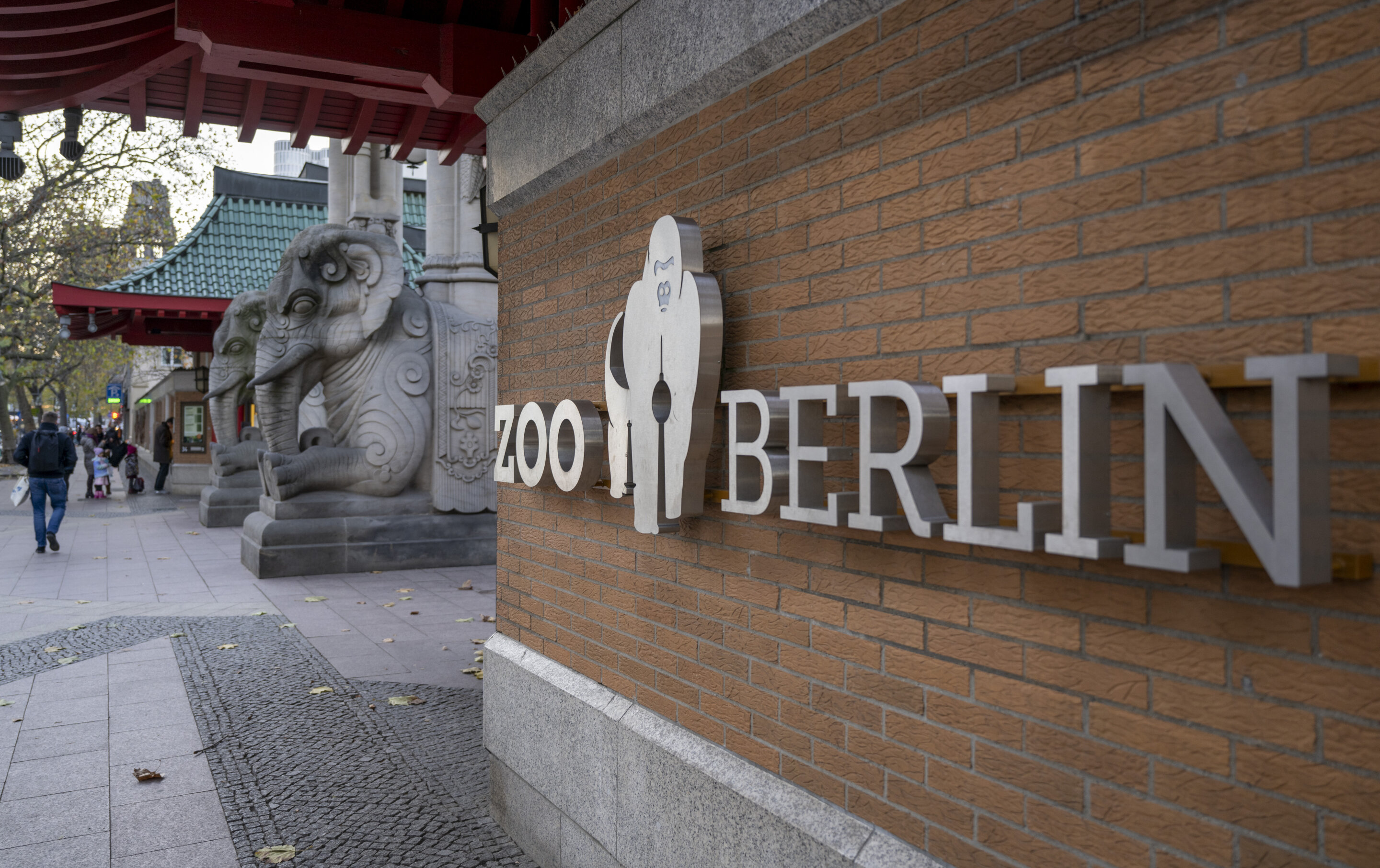 Berlin Zoo closes over bird flu case