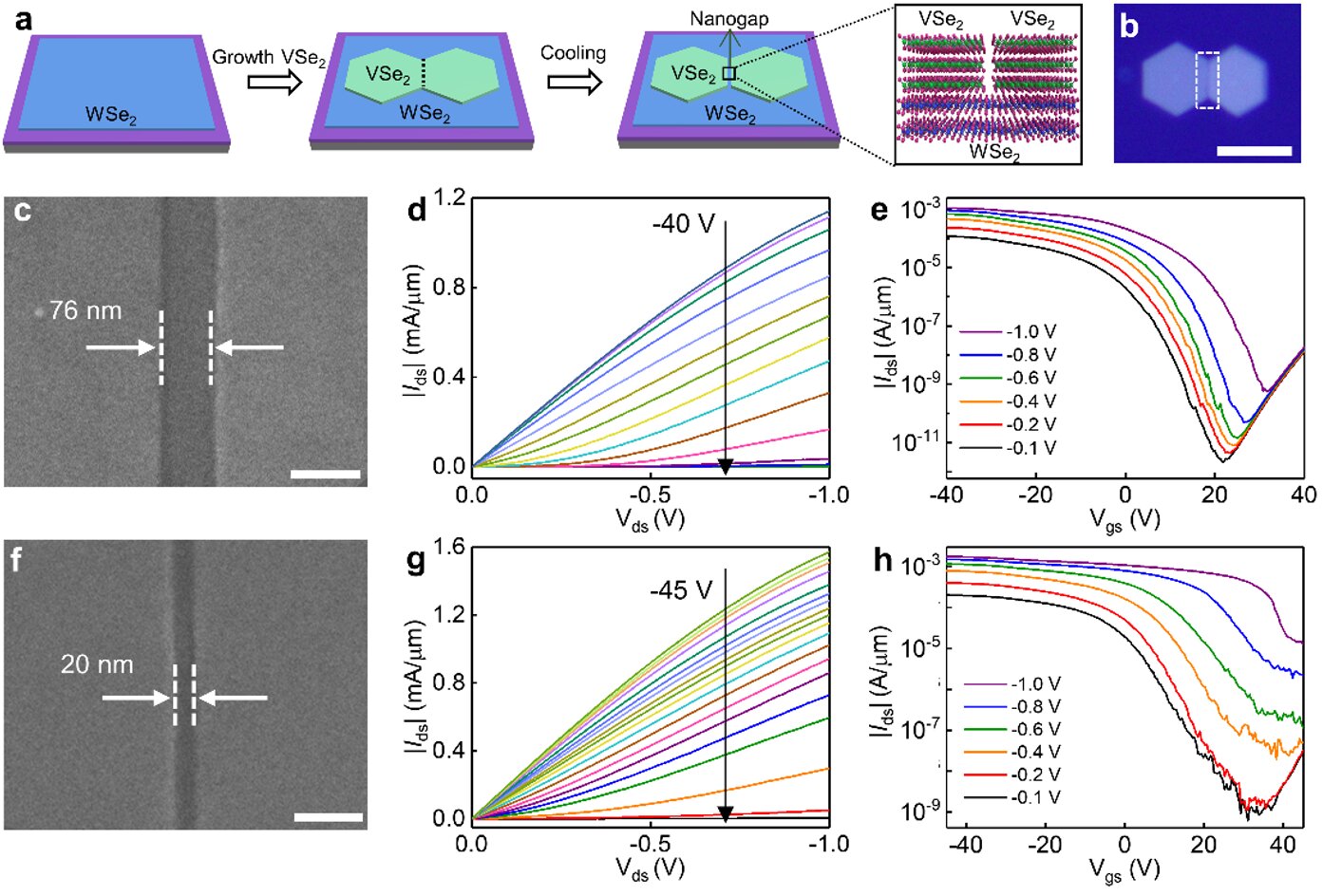 Bilayer tungsten diselenide transistors with ON-state current densities over 1.5 milliamperes per micrometer