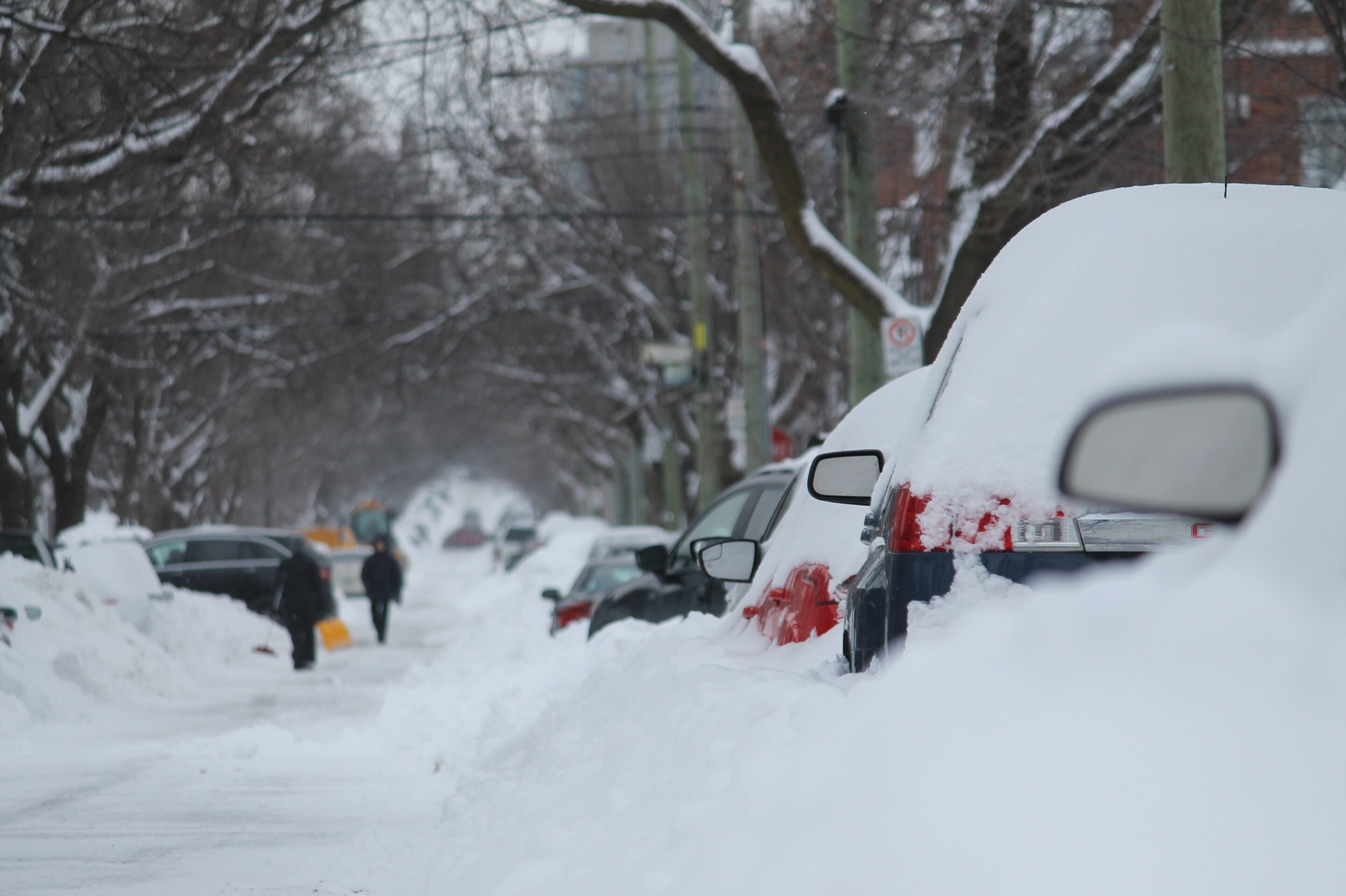 Climate change won't make winter storms and blizzards go away