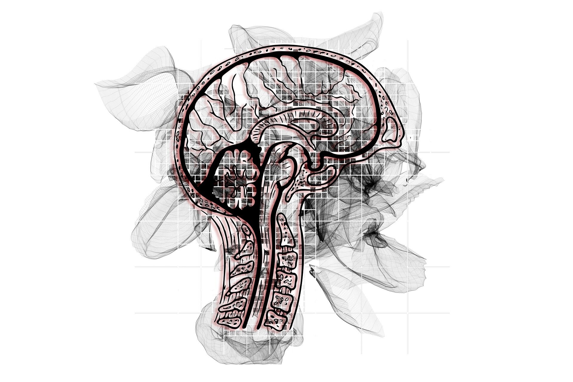 Мозг спираль. Картинки связанные с чтение и мозгом черно белые. P earlier