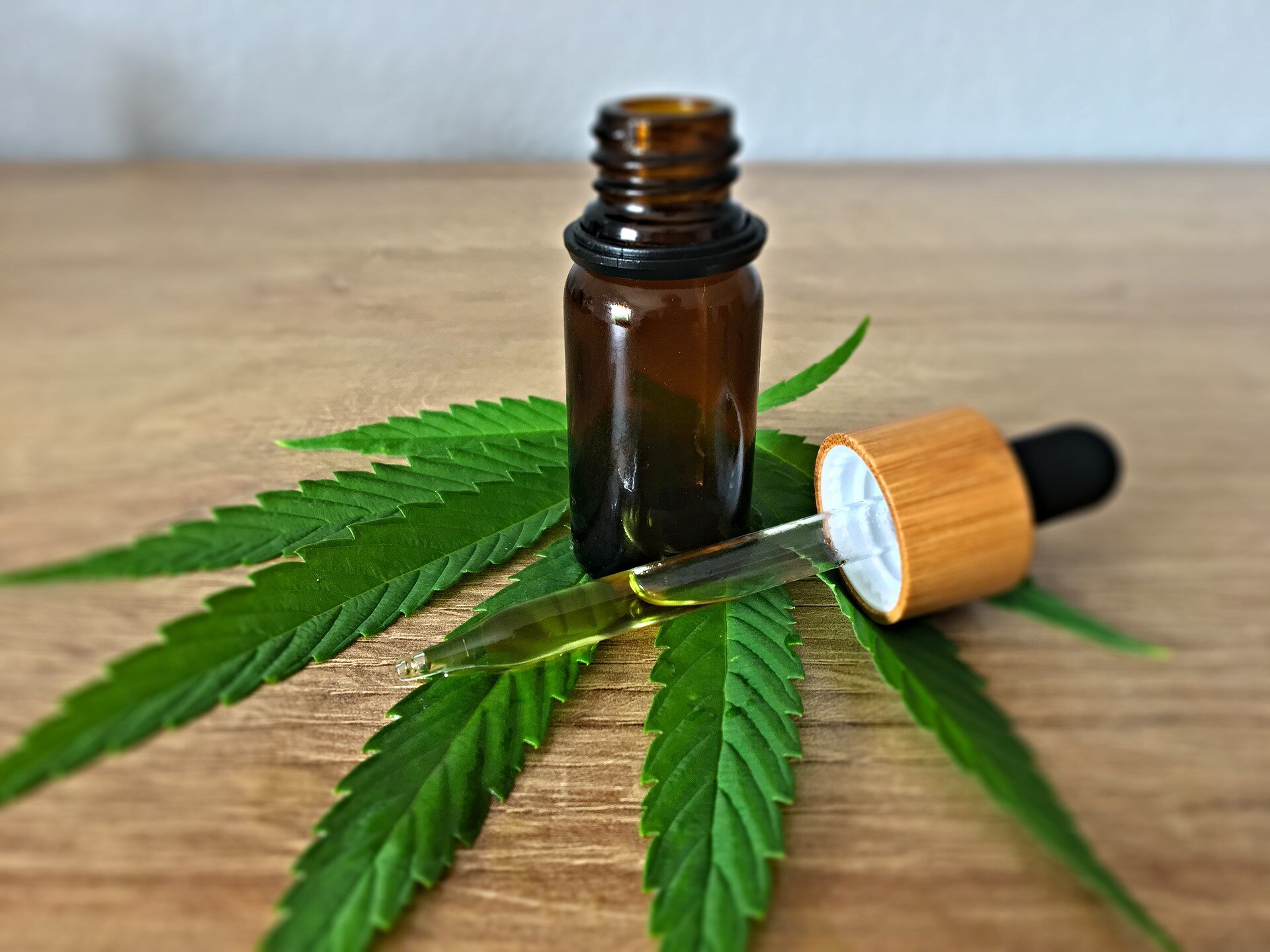 #Buccally absorbed cannabidiol is safe and effective for pain management after rotator cuff surgery