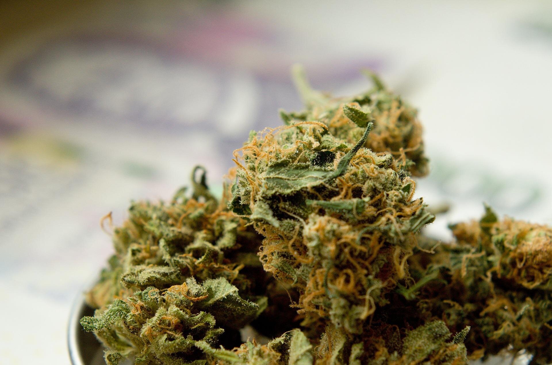 Legalized cannabis linked to fewer synthetic cannabinoid poisonings