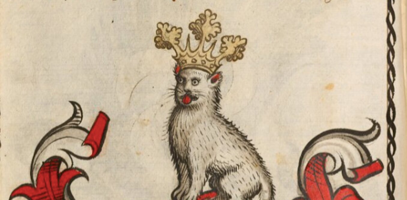 What medieval manuscripts teach us about our ancestors’ pets