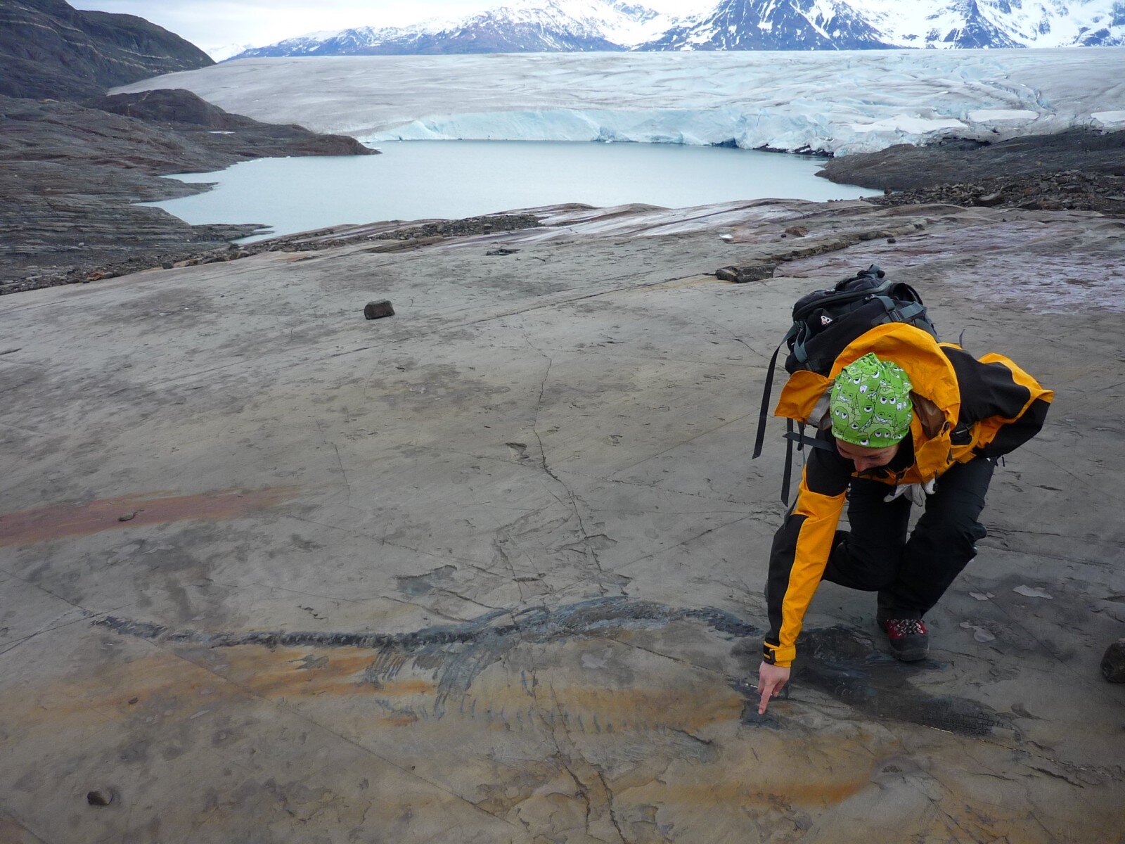 Rescatan primer ictiosaurio completo de Chile de glaciar en Patagonia