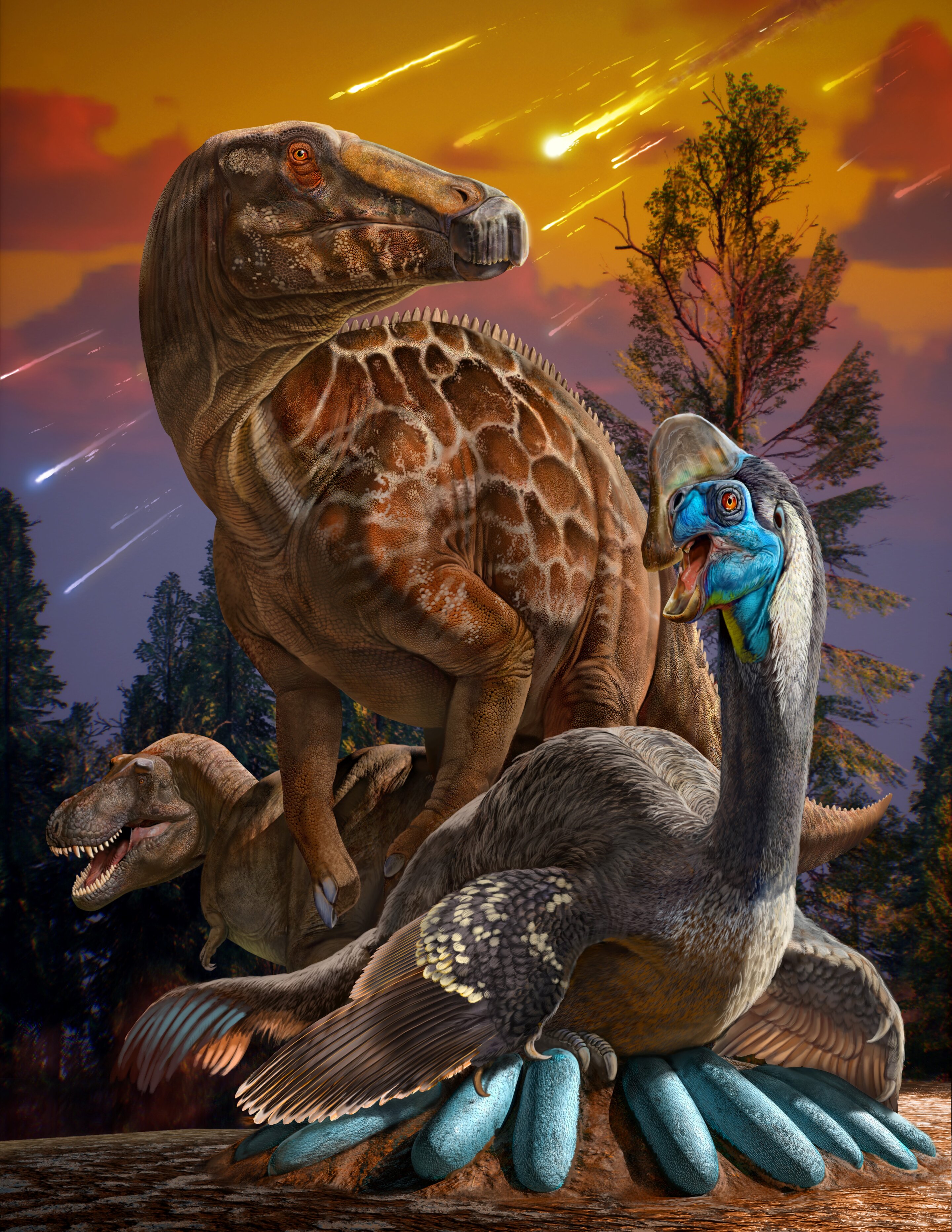 Chinese fossil eggs show dinosaur decline before extinction