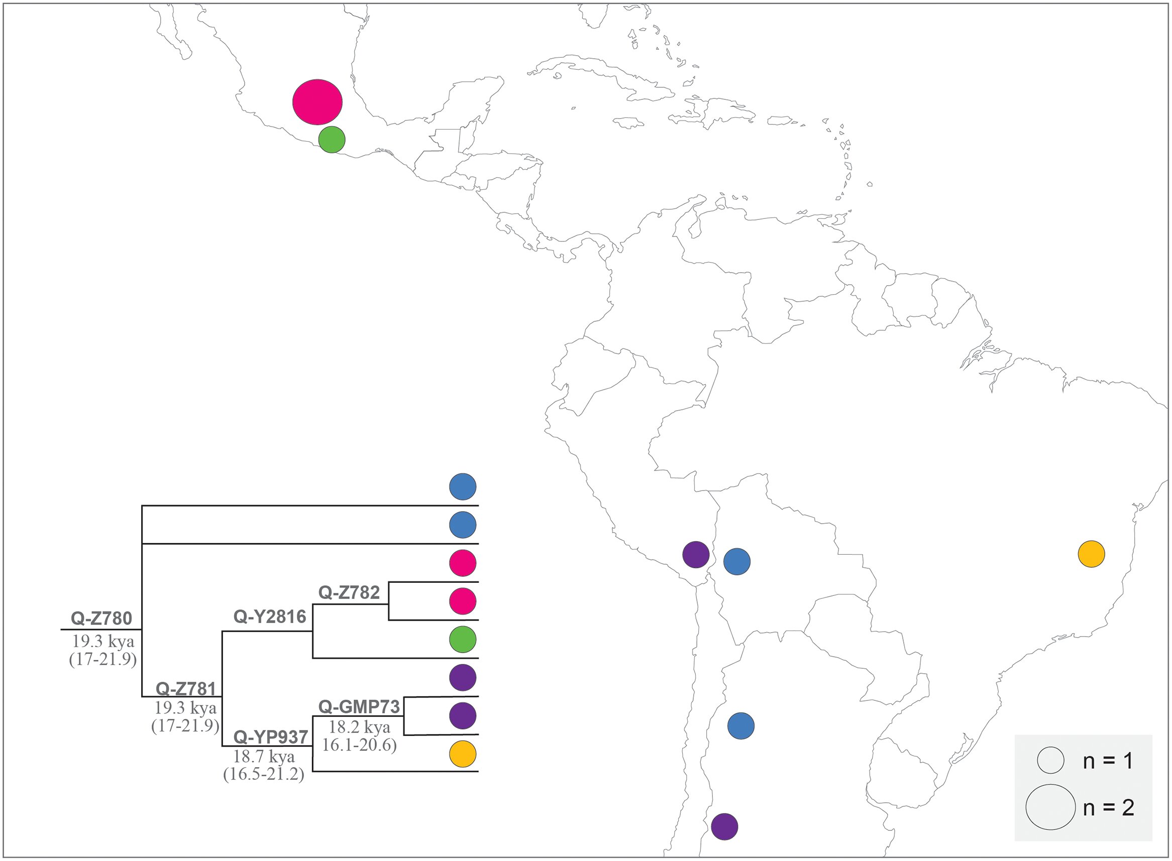 Chromosomal study suggests people were living in South America as far back as 18..