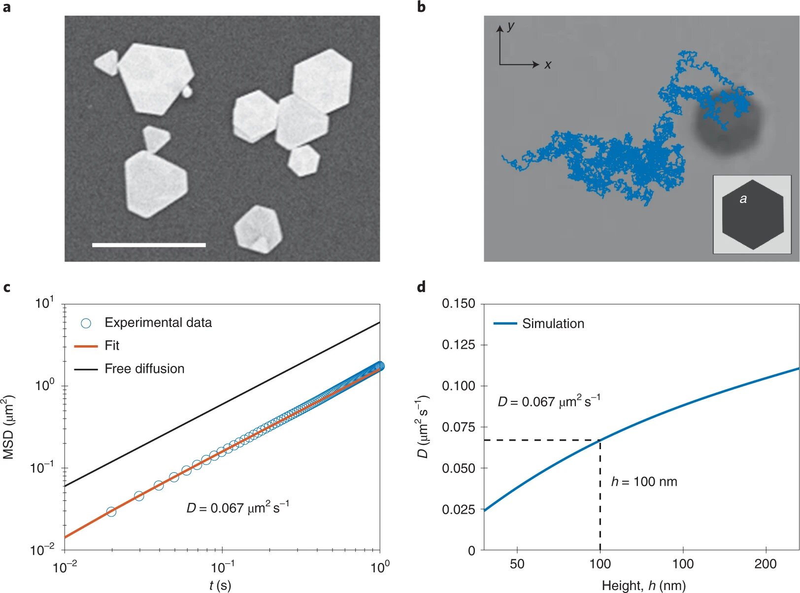 Clever method for separating nano-components