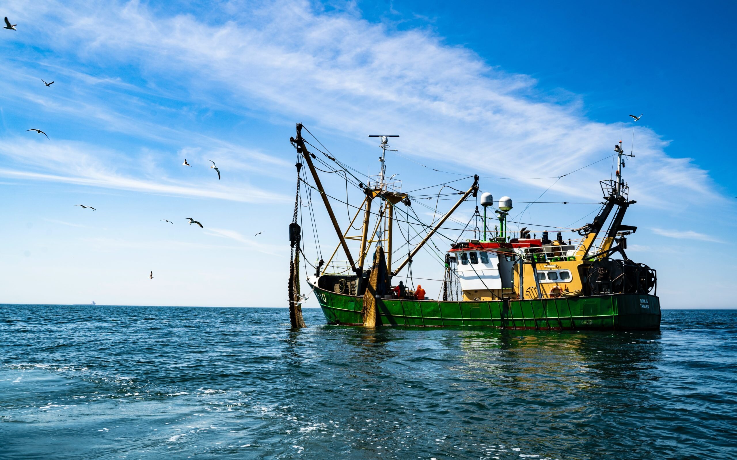 Climate change has likely begun to suffocate the world's fisheries - Phys.org
