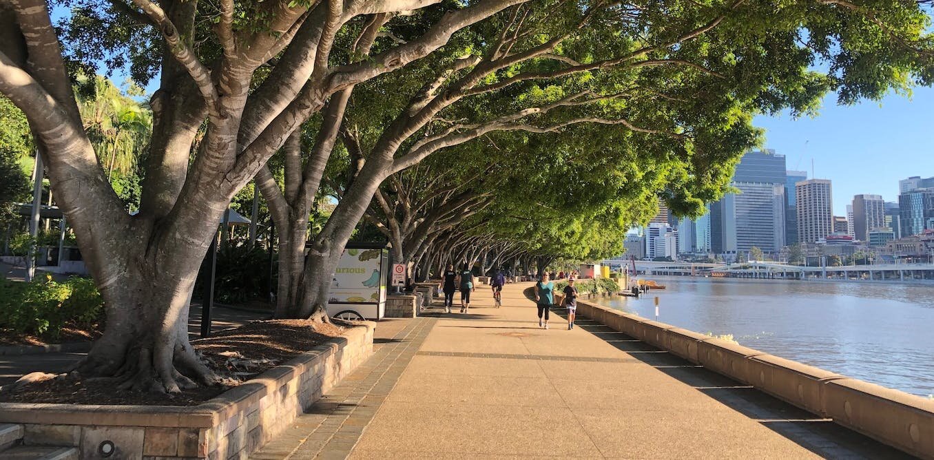Climate change threatens up to 100% of trees in Australian cities, and most urban species worldwide - Phys.org