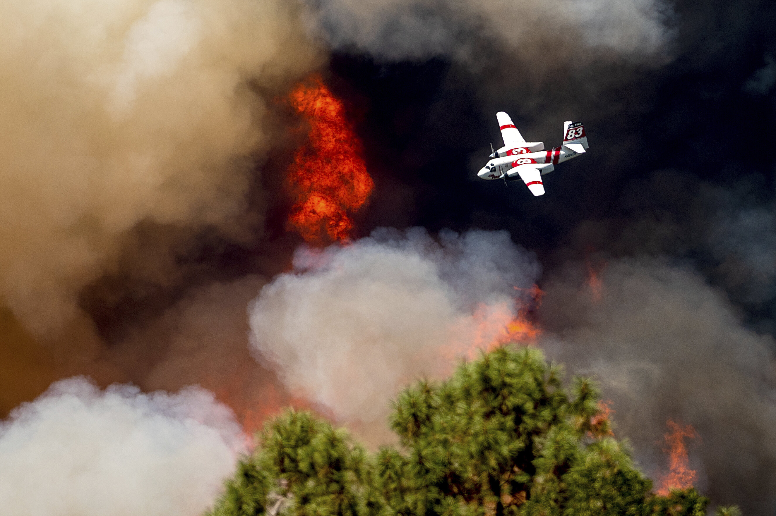 Самолет тушит пожар. Пожарный самолет. Авиация тушит пожары. Пожарный самолет фото.